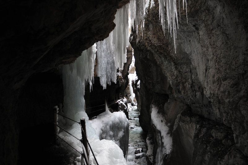 DSC_0426.JPG