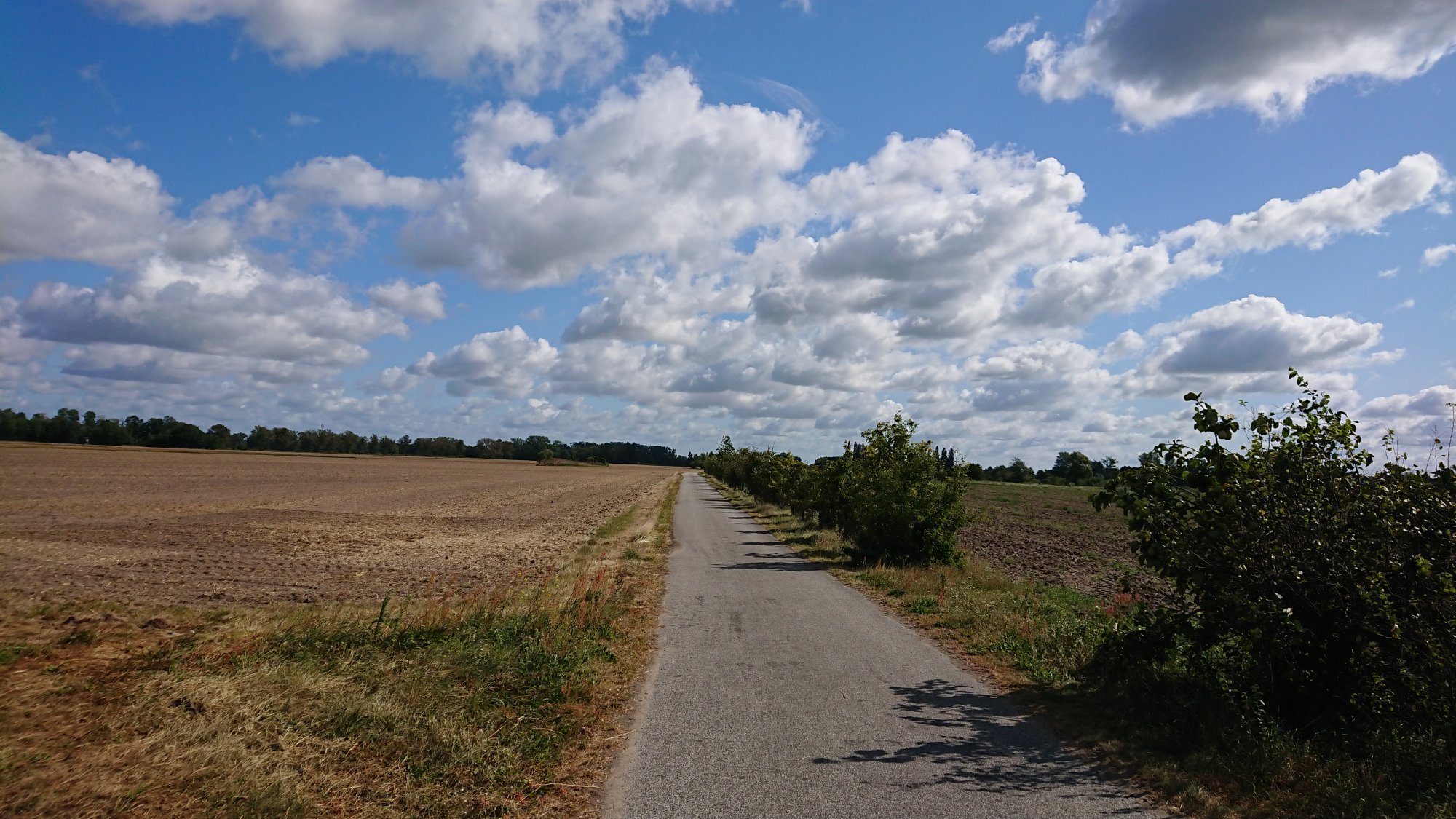 DSC_0432.JPG