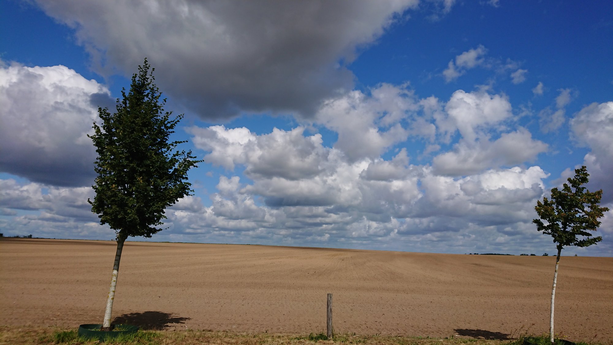 DSC_0437.JPG