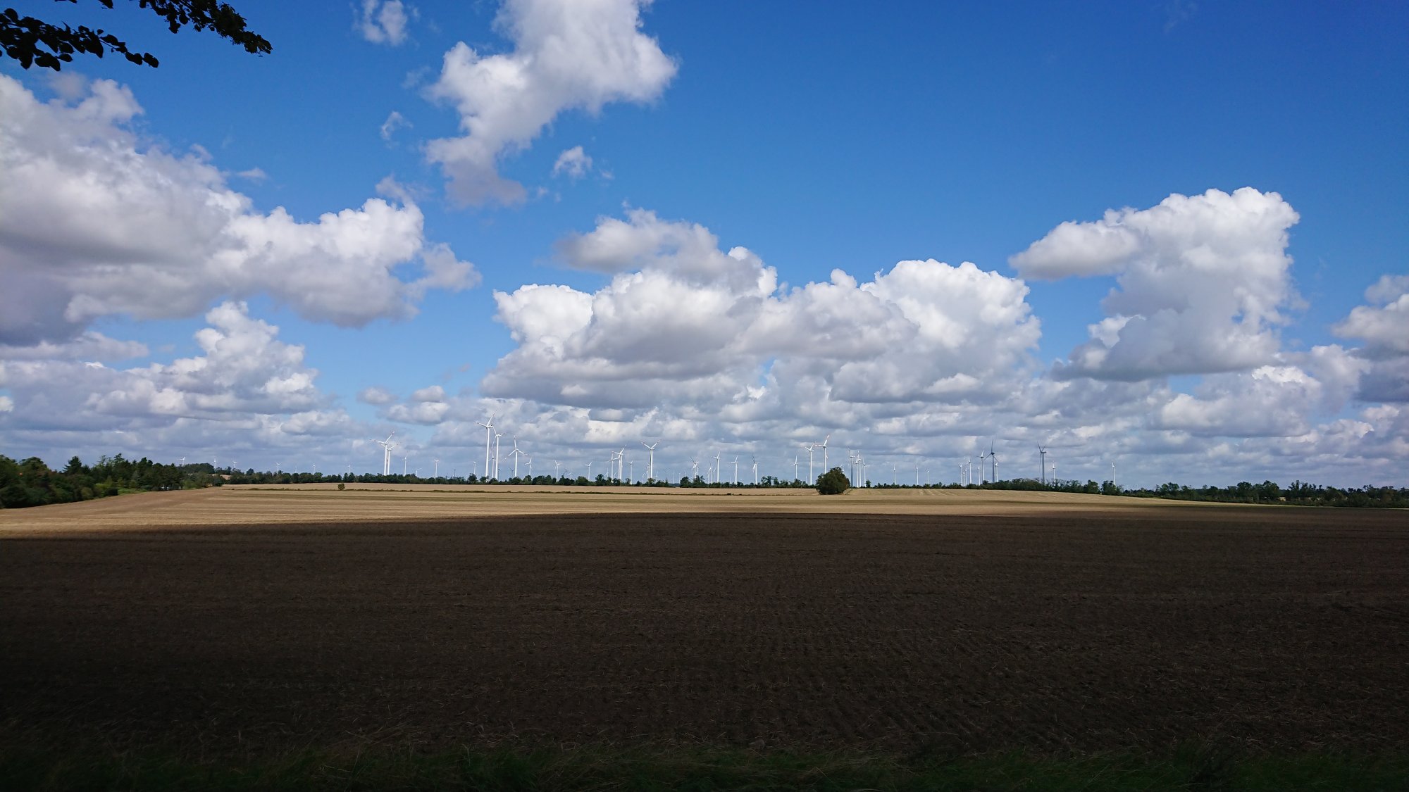 DSC_0444.JPG