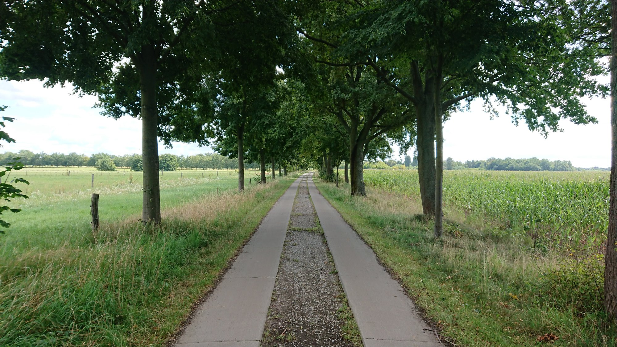 DSC_0446.JPG