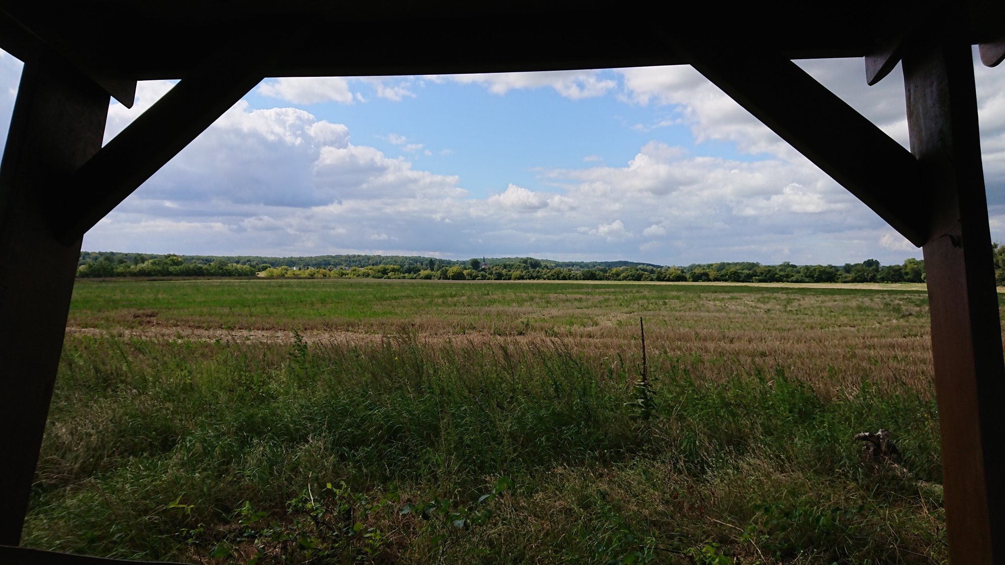 DSC_0447.JPG