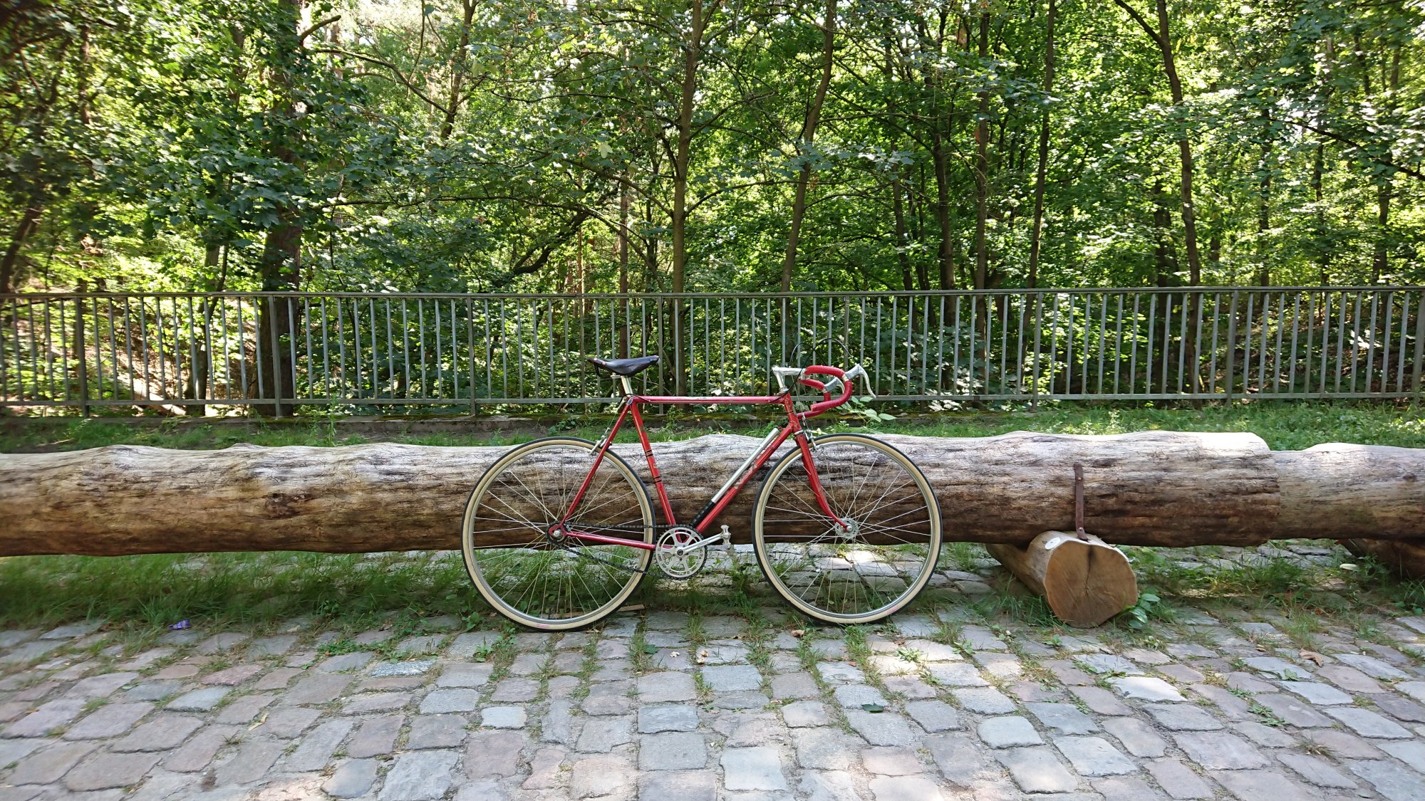 DSC_0456.JPG