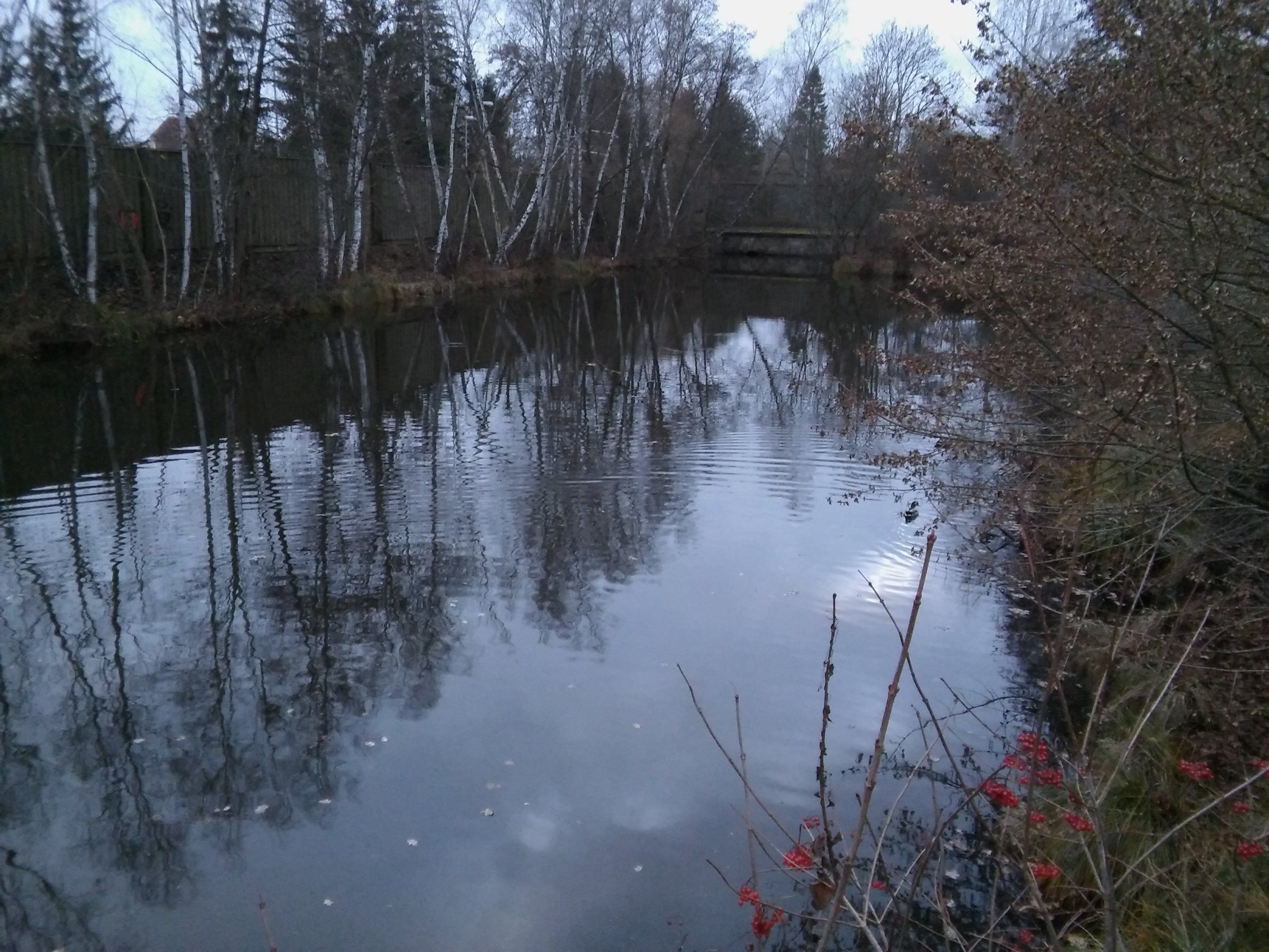 DSC_0464.JPG