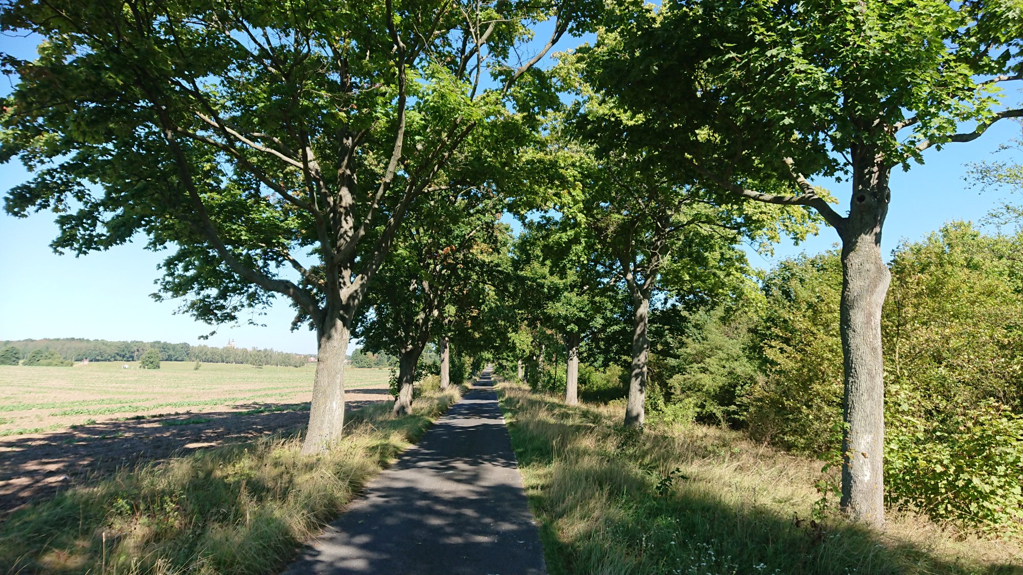 DSC_0466.JPG