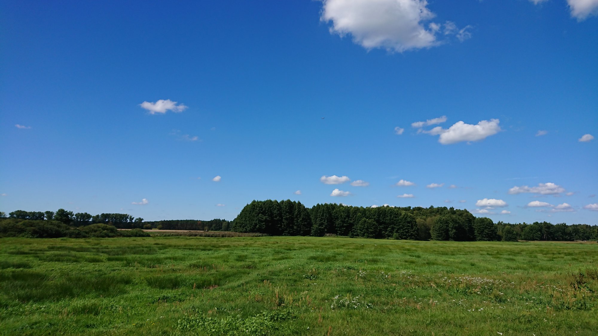 DSC_0476.JPG