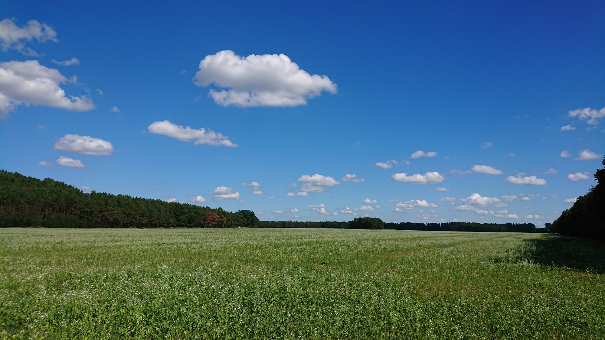 DSC_0480.JPG