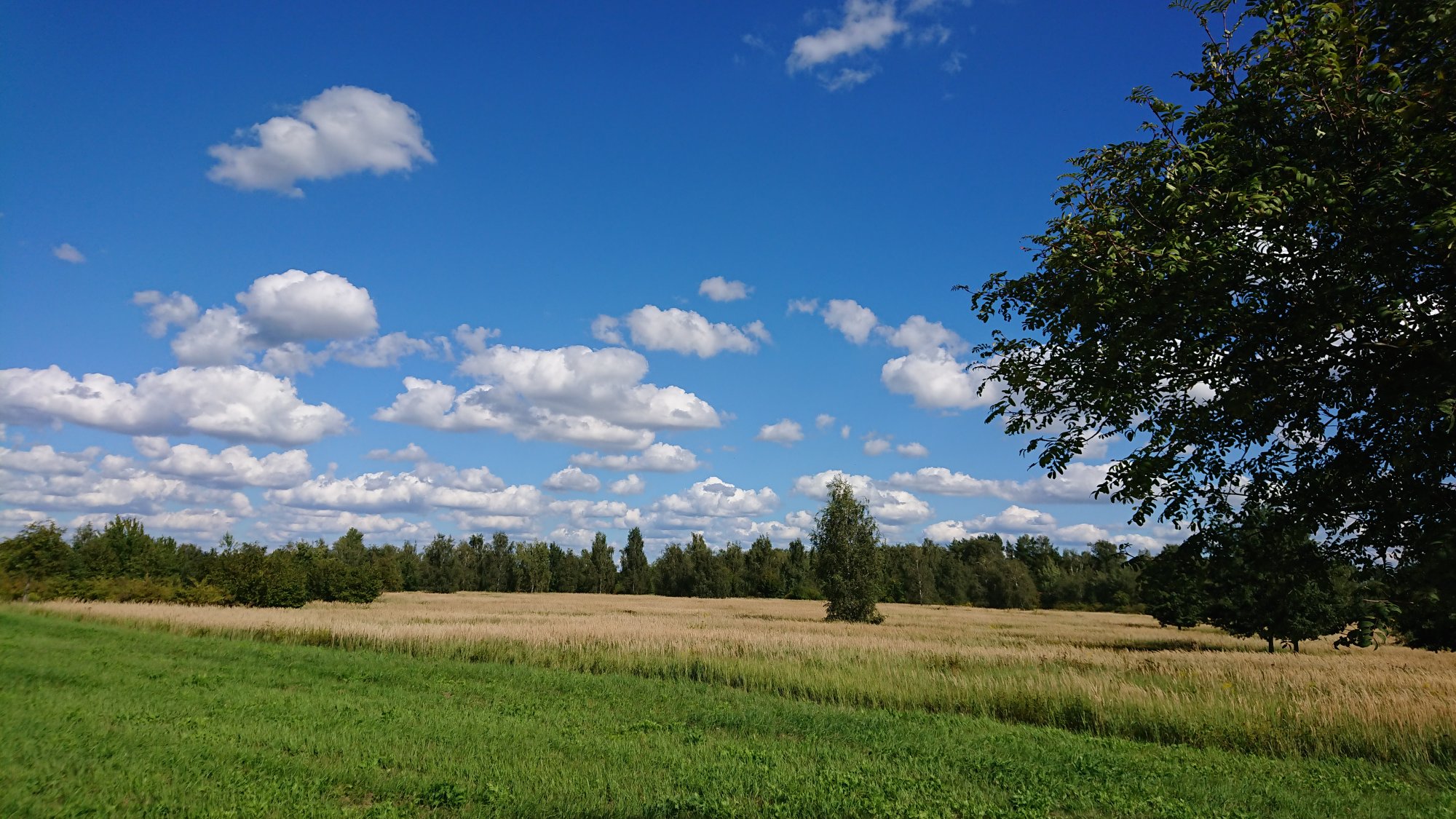 DSC_0482.JPG