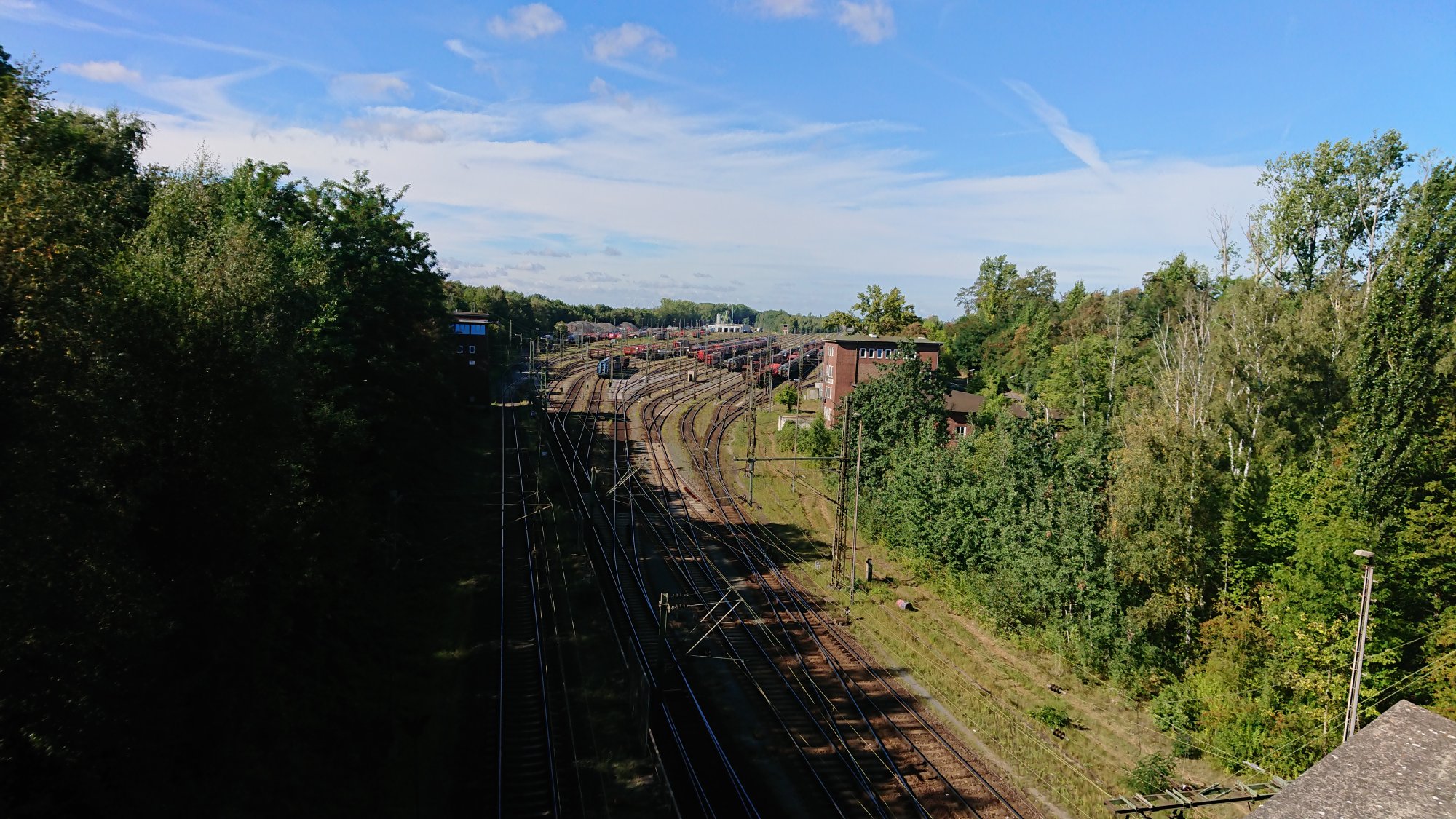 DSC_0485.JPG