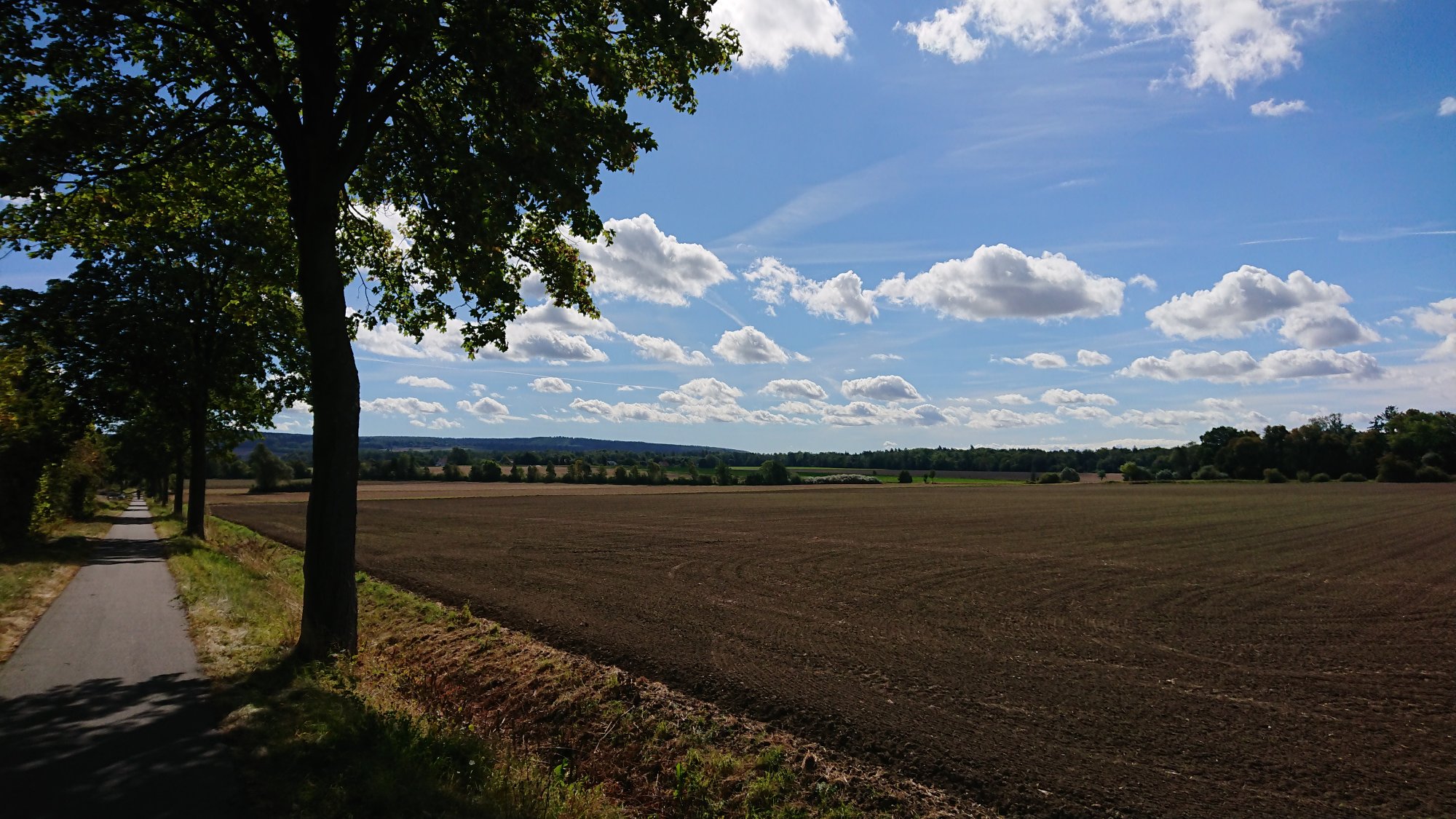 DSC_0486.JPG