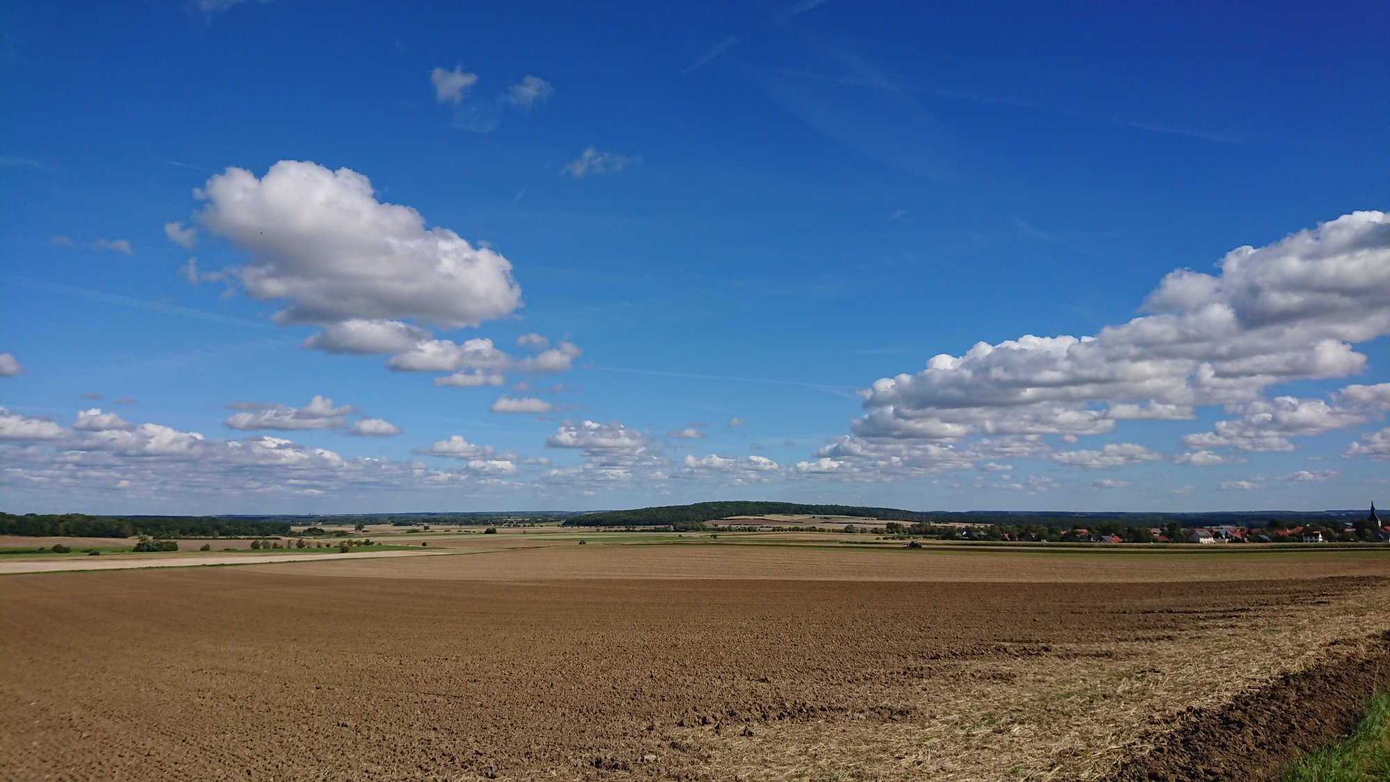 DSC_0487.JPG