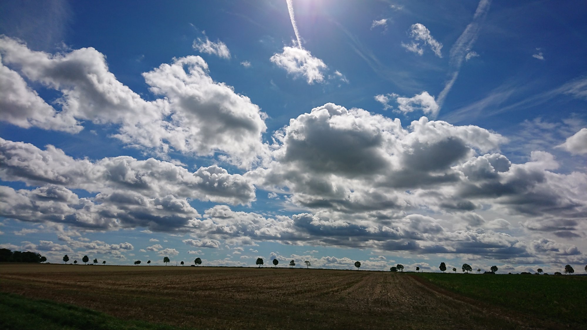DSC_0488a.JPG