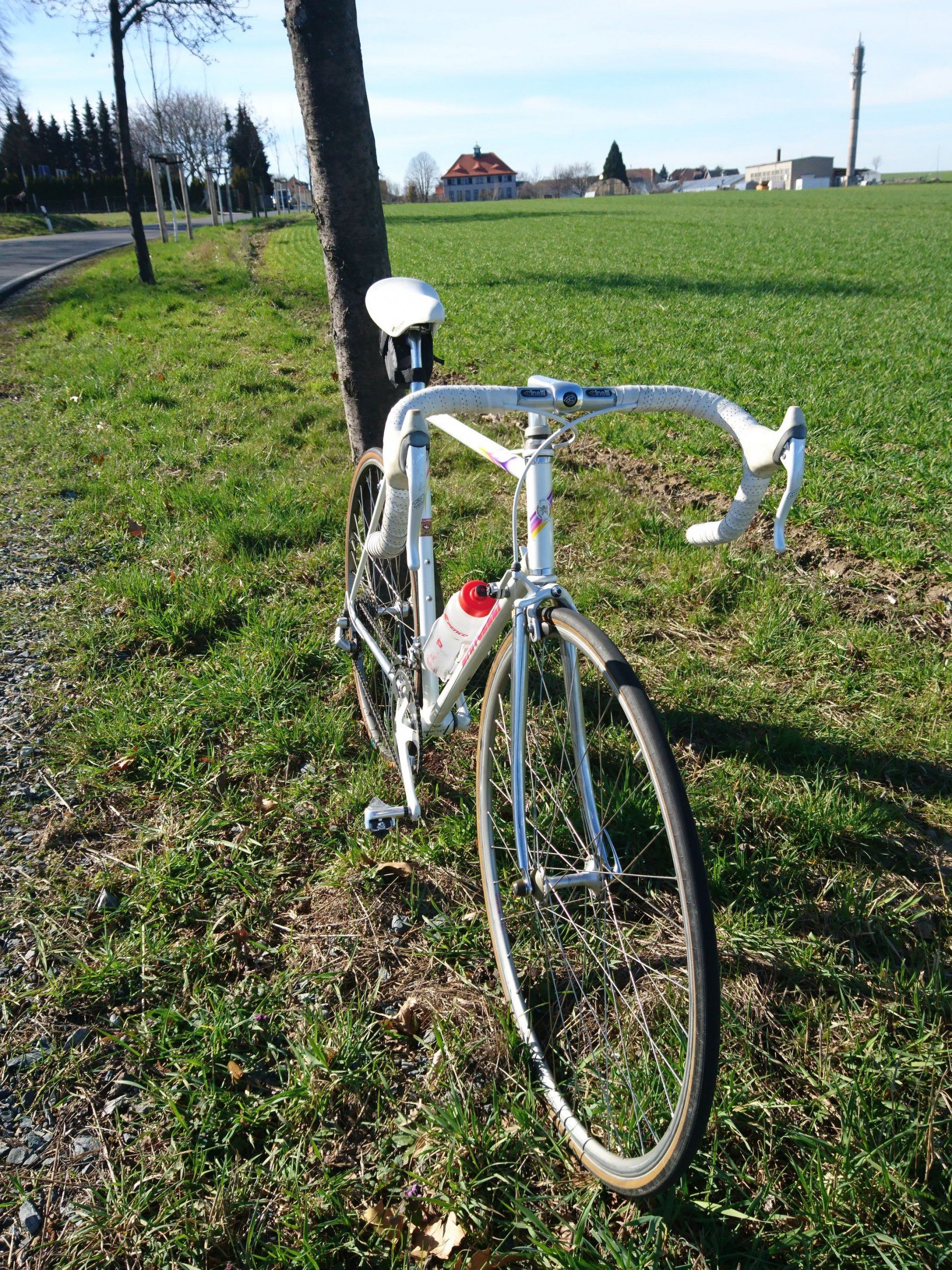 DSC_0492_klein.JPG