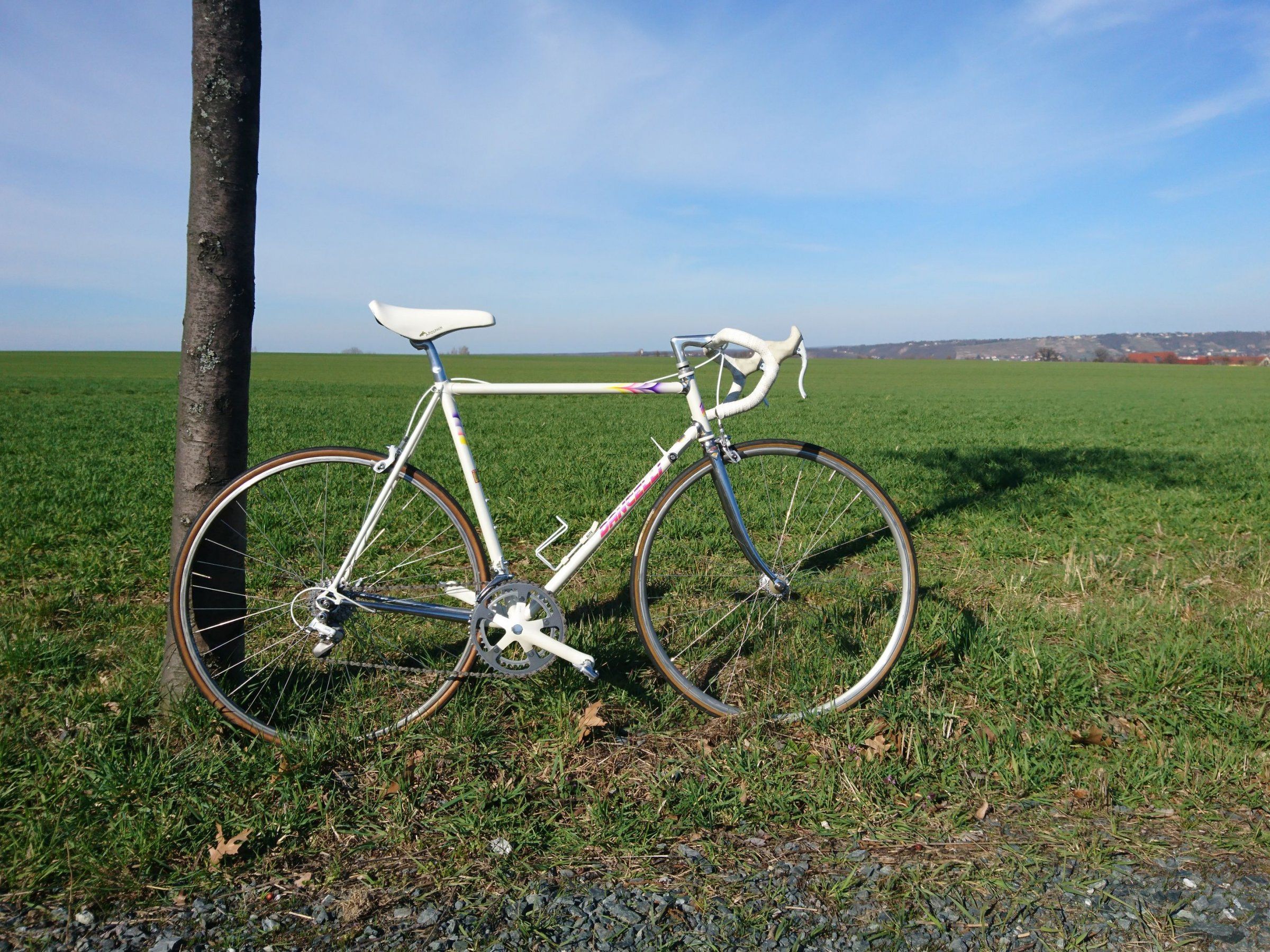 DSC_0493_klein.JPG