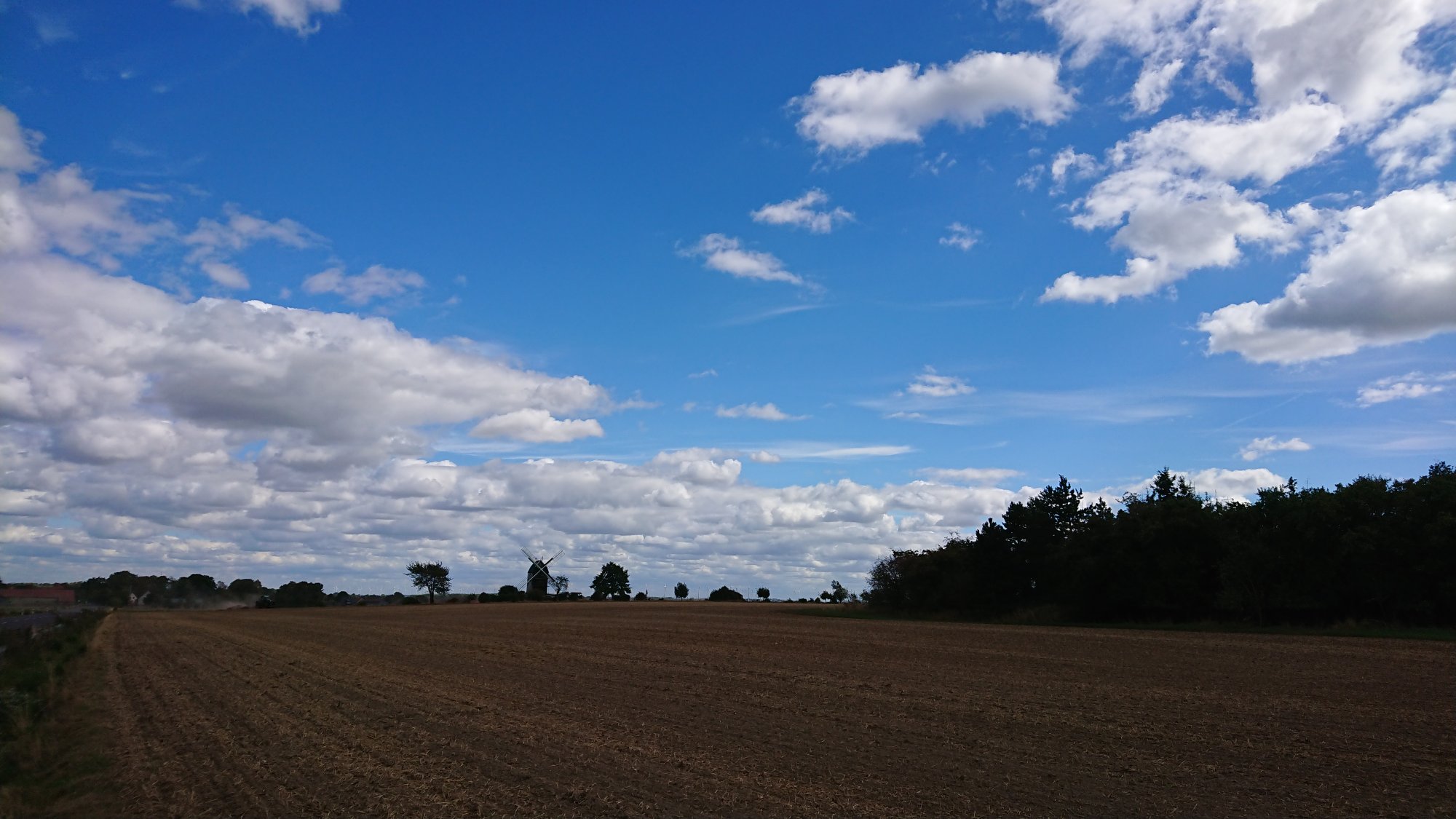 DSC_0498.JPG