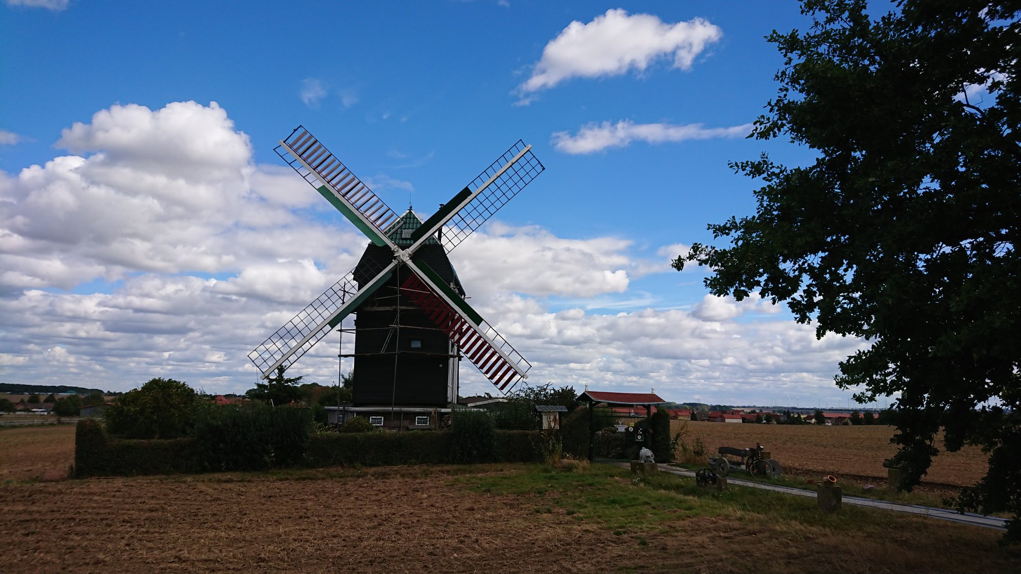 DSC_0499.JPG