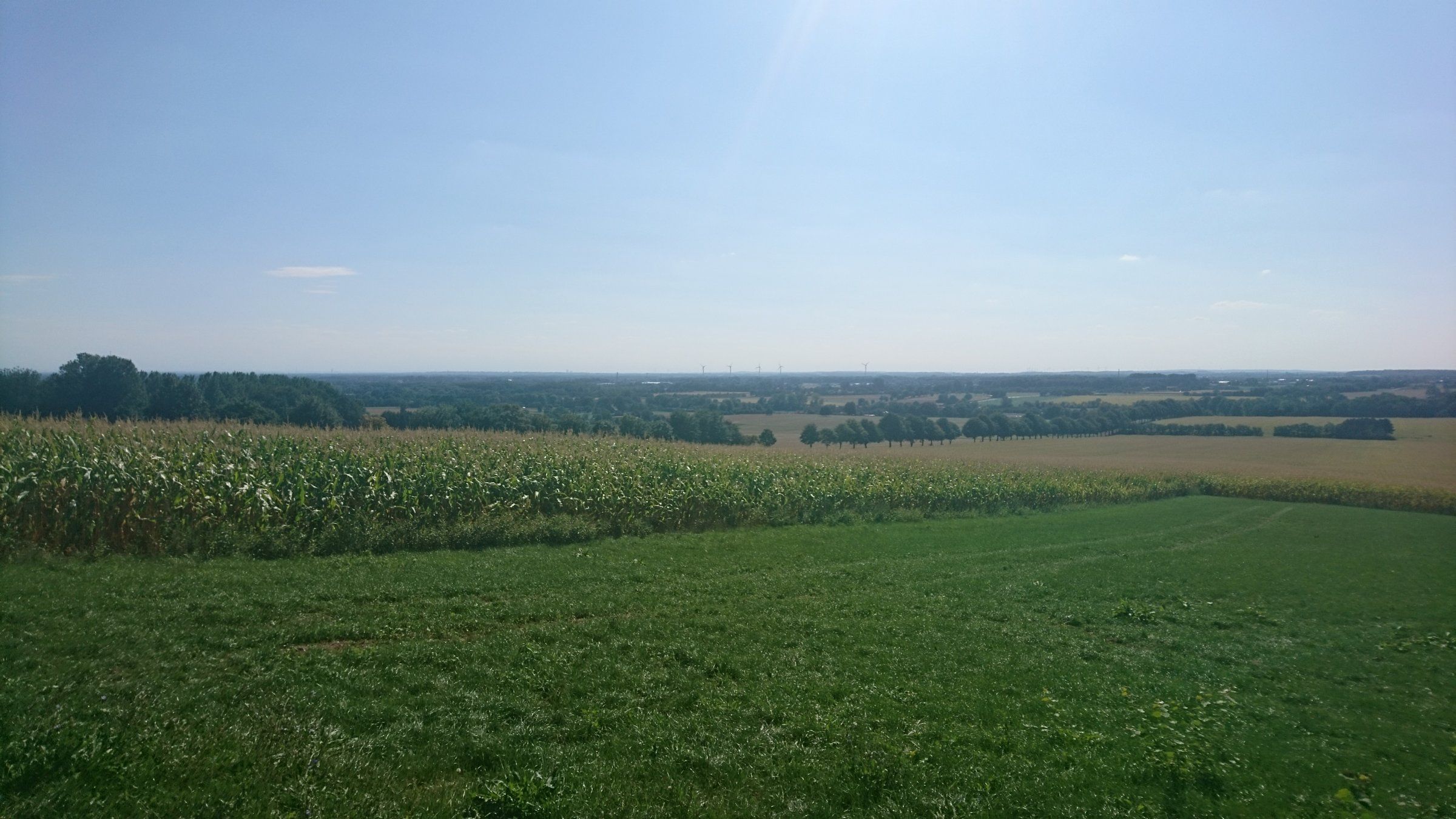 DSC_0501.JPG