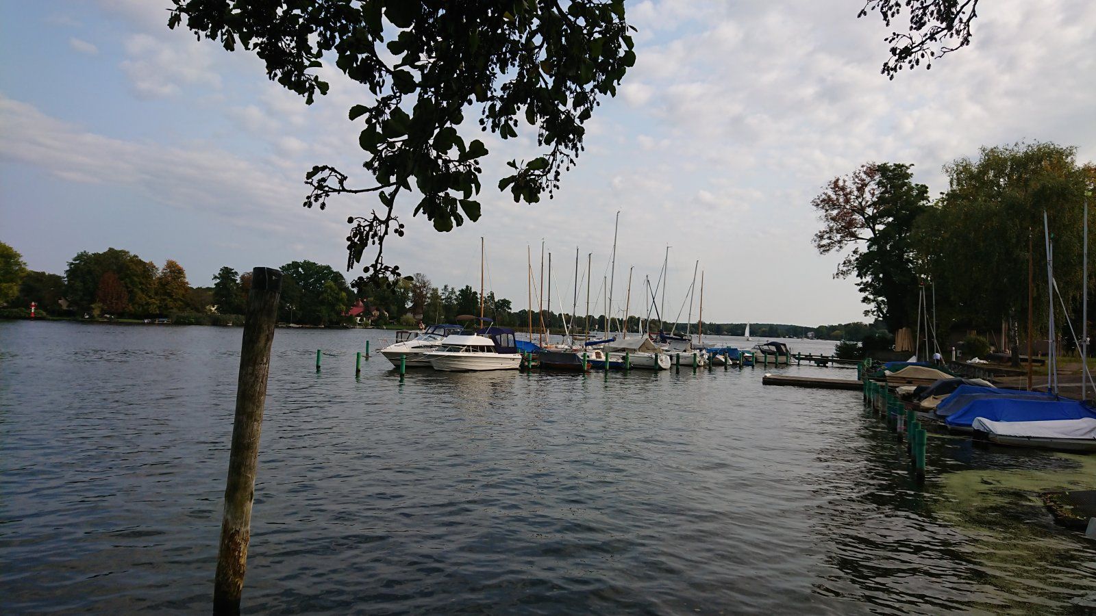DSC_0512.JPG