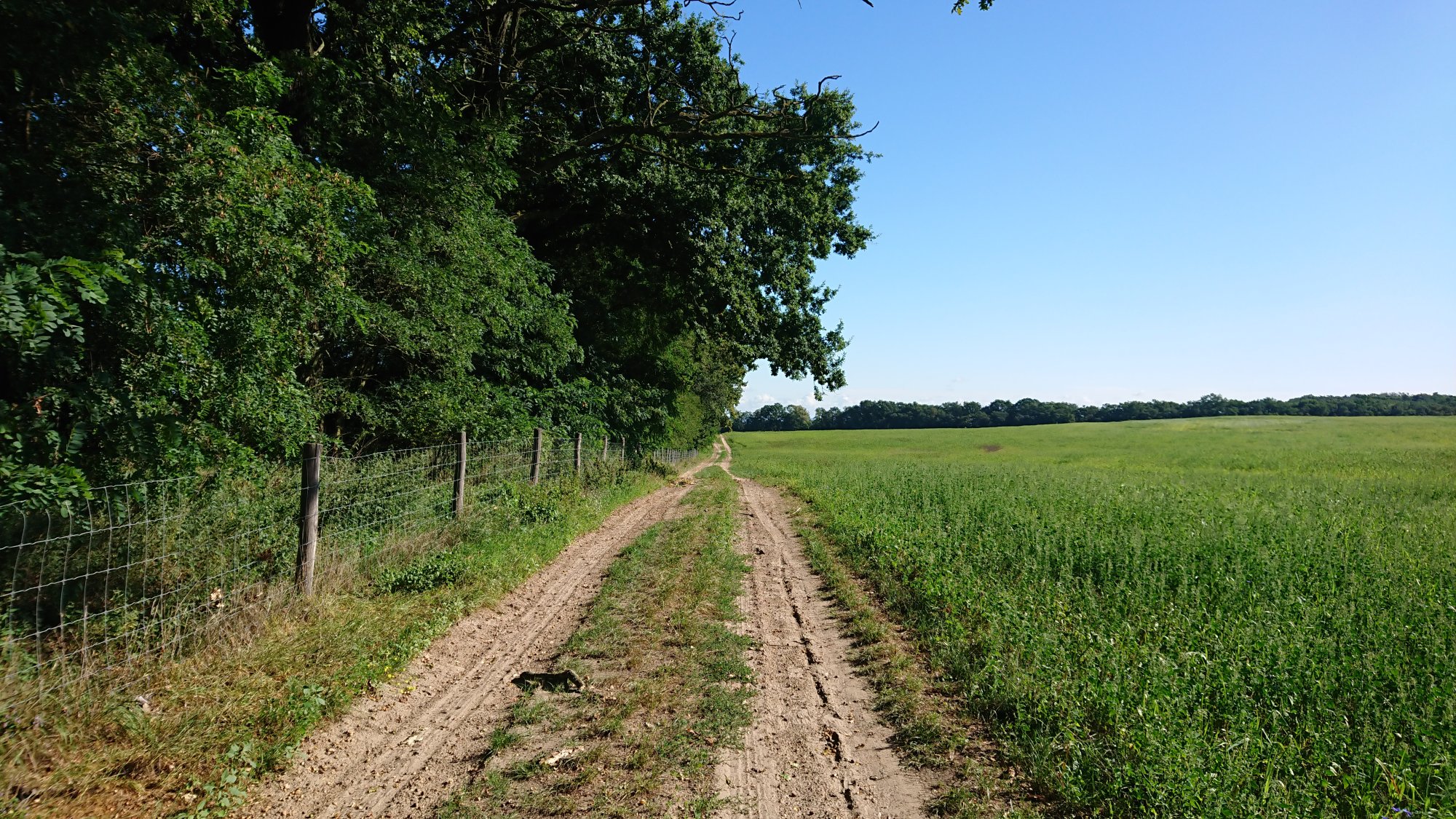 DSC_0554.JPG