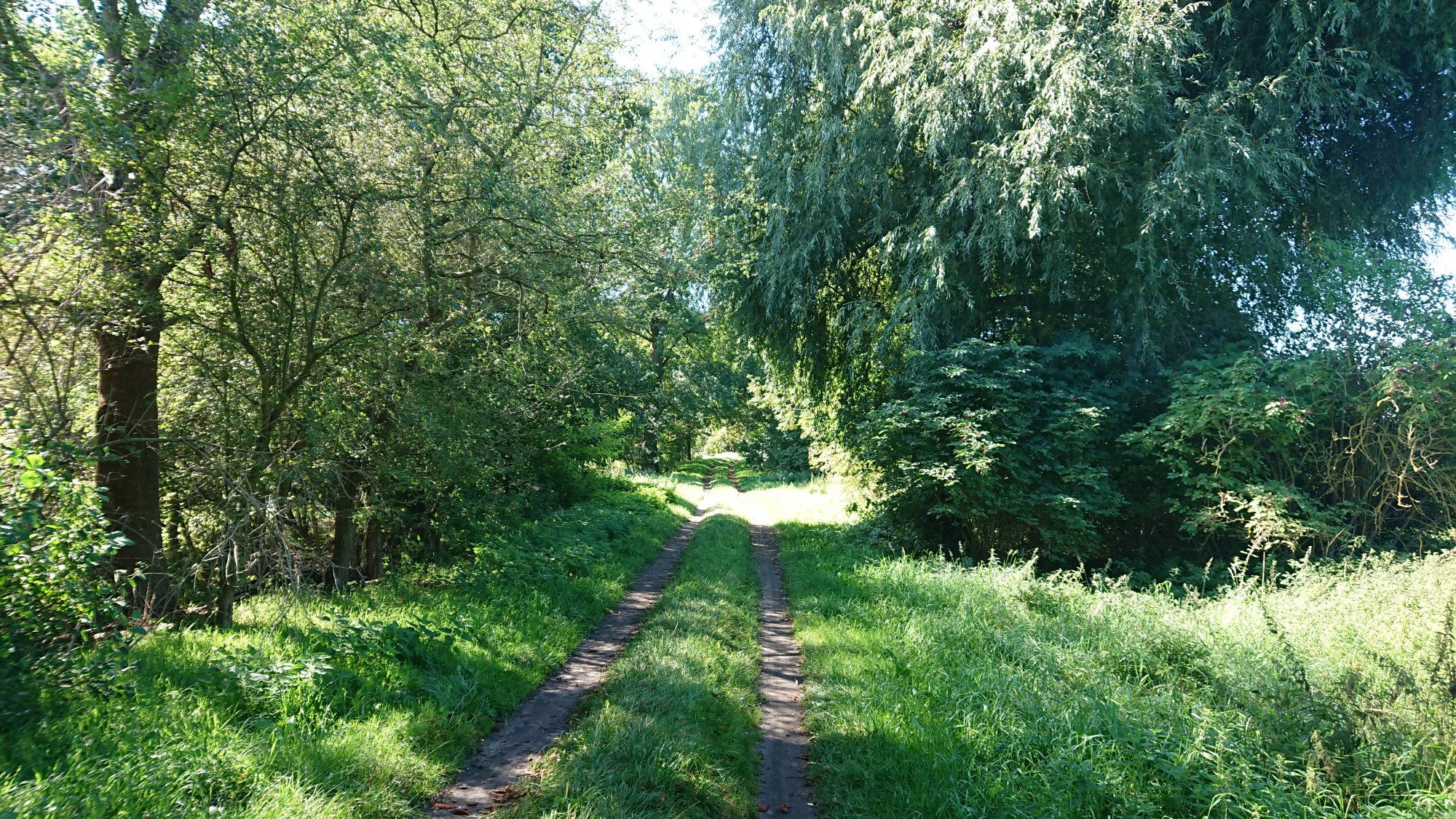 DSC_0555.JPG