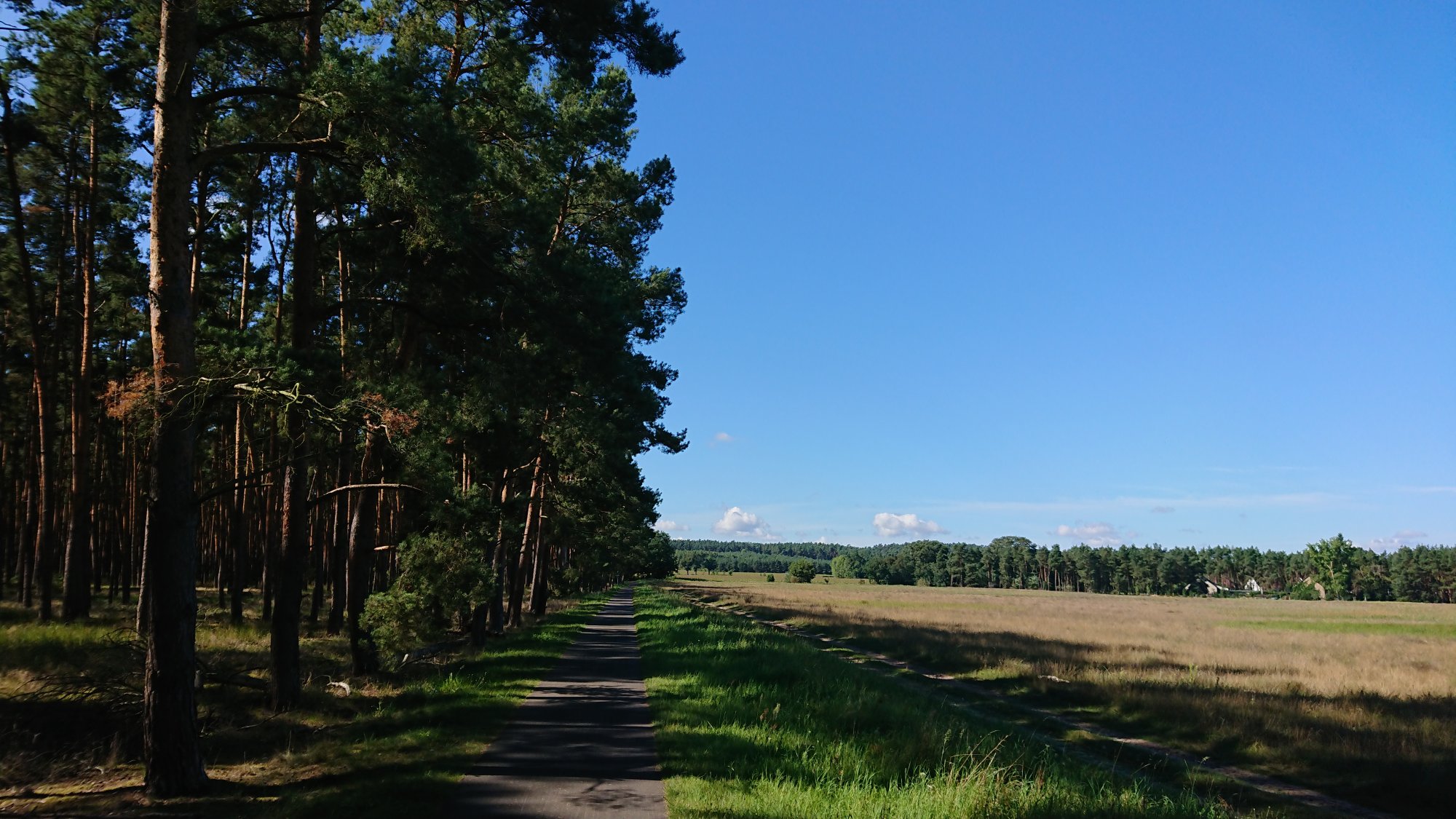 DSC_0557.JPG