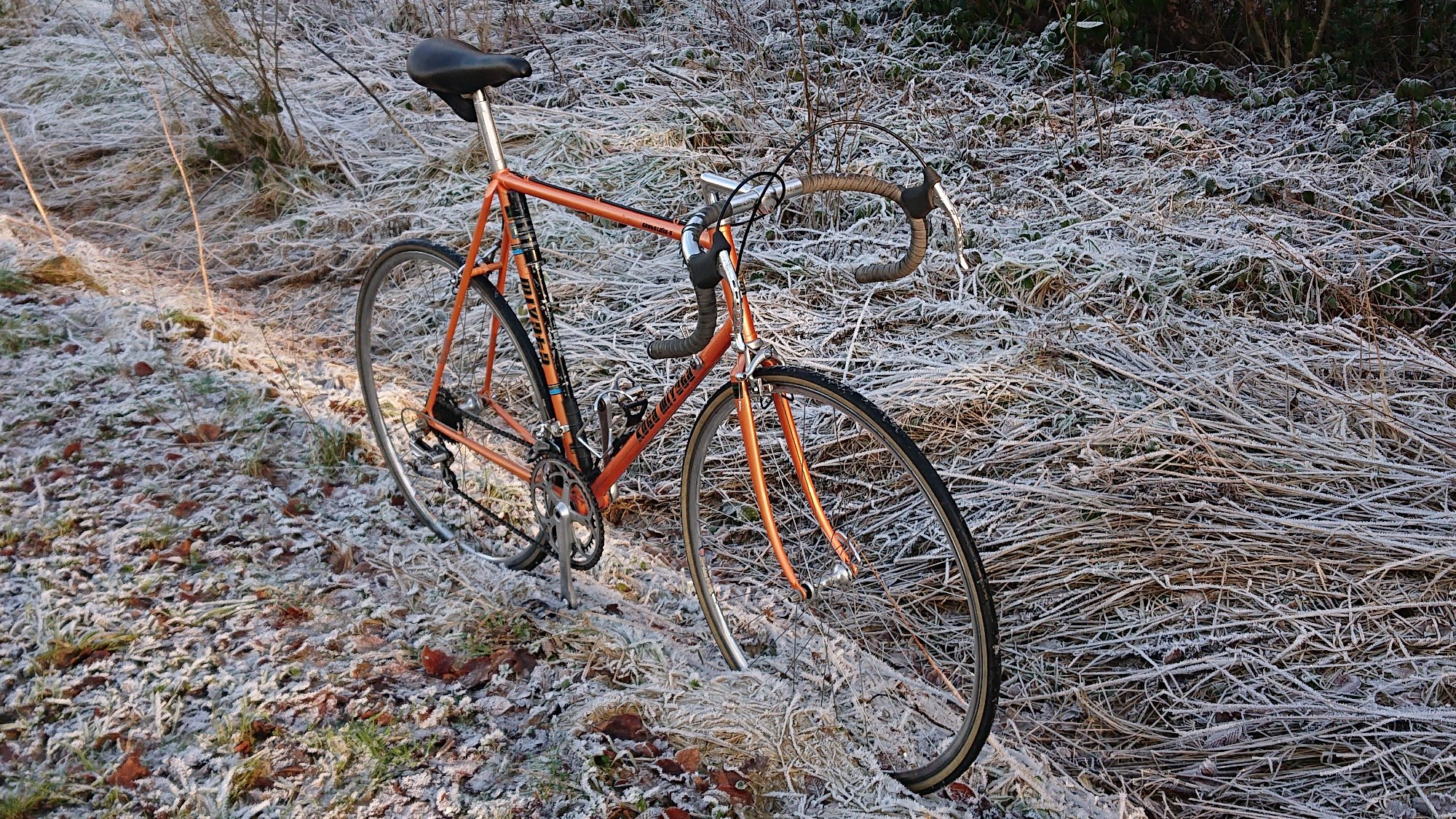 DSC_0561.JPG
