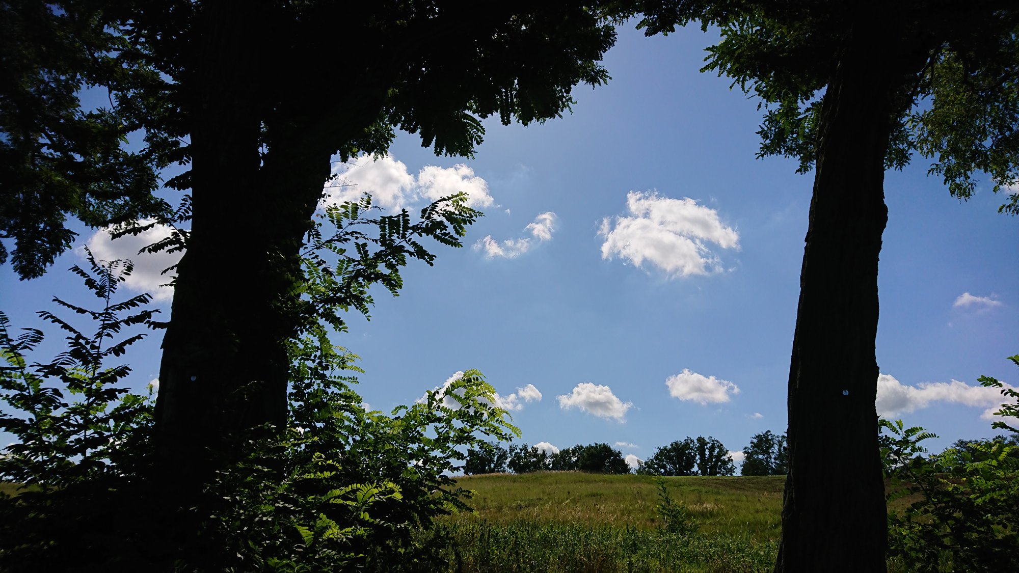DSC_0561.JPG