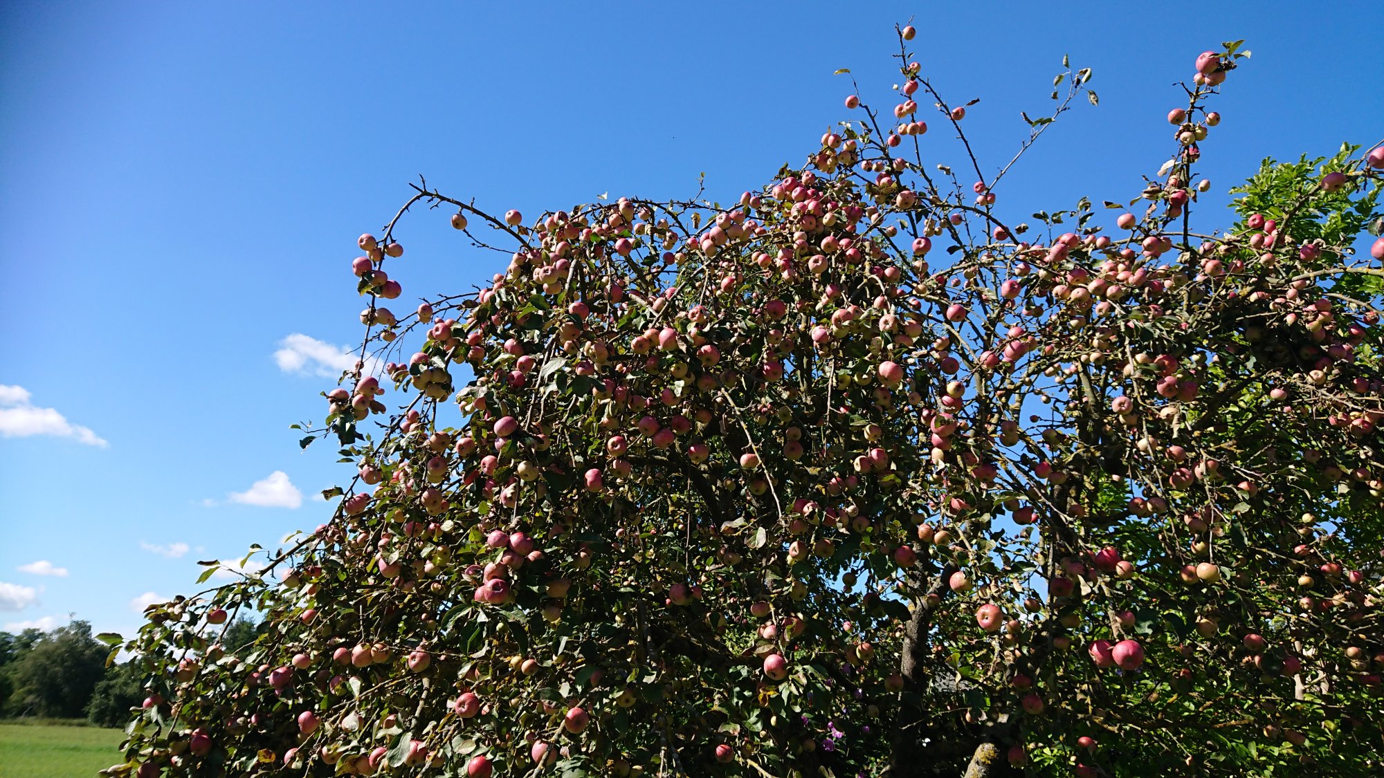 DSC_0562.JPG