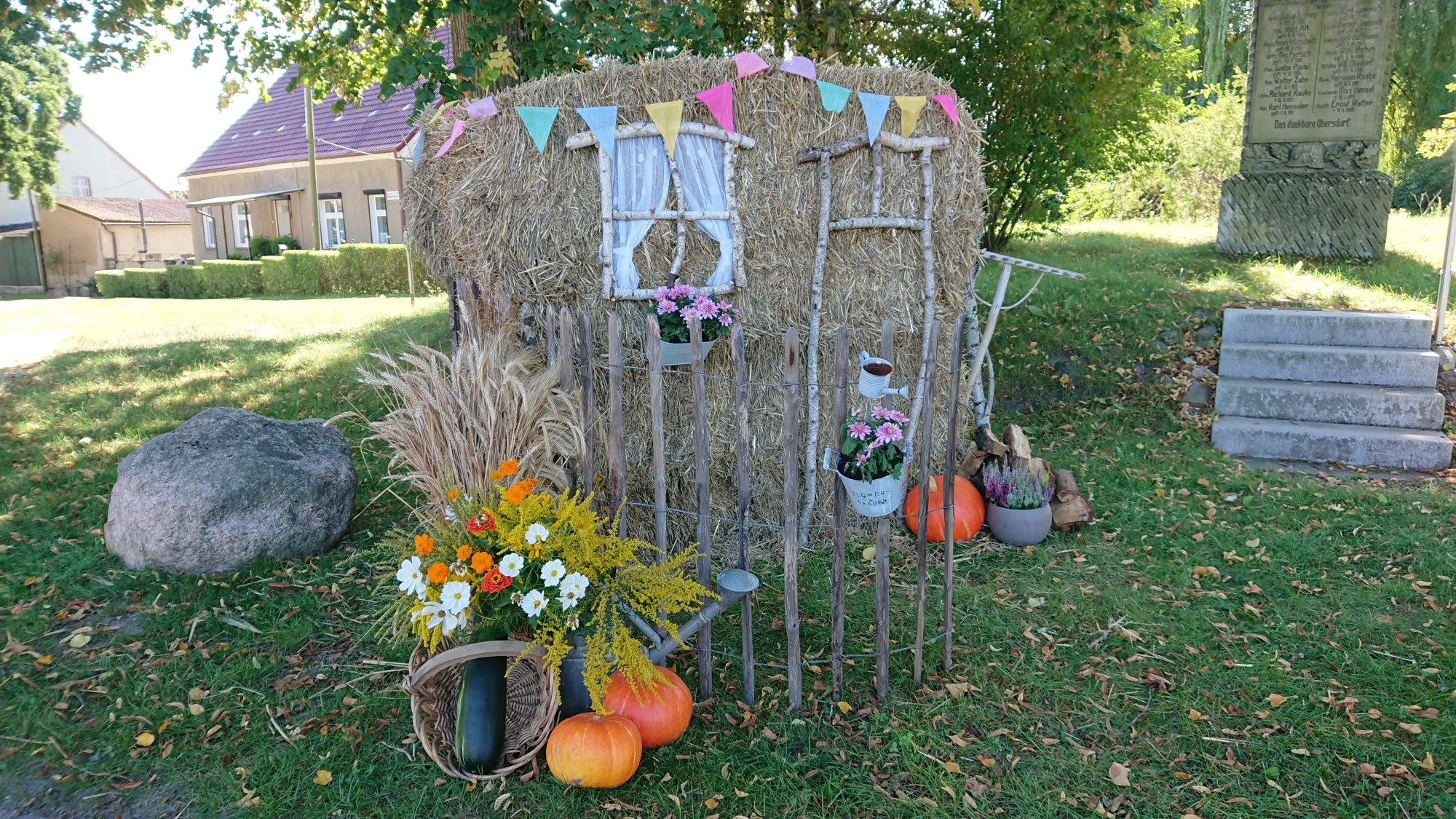 DSC_0563.JPG