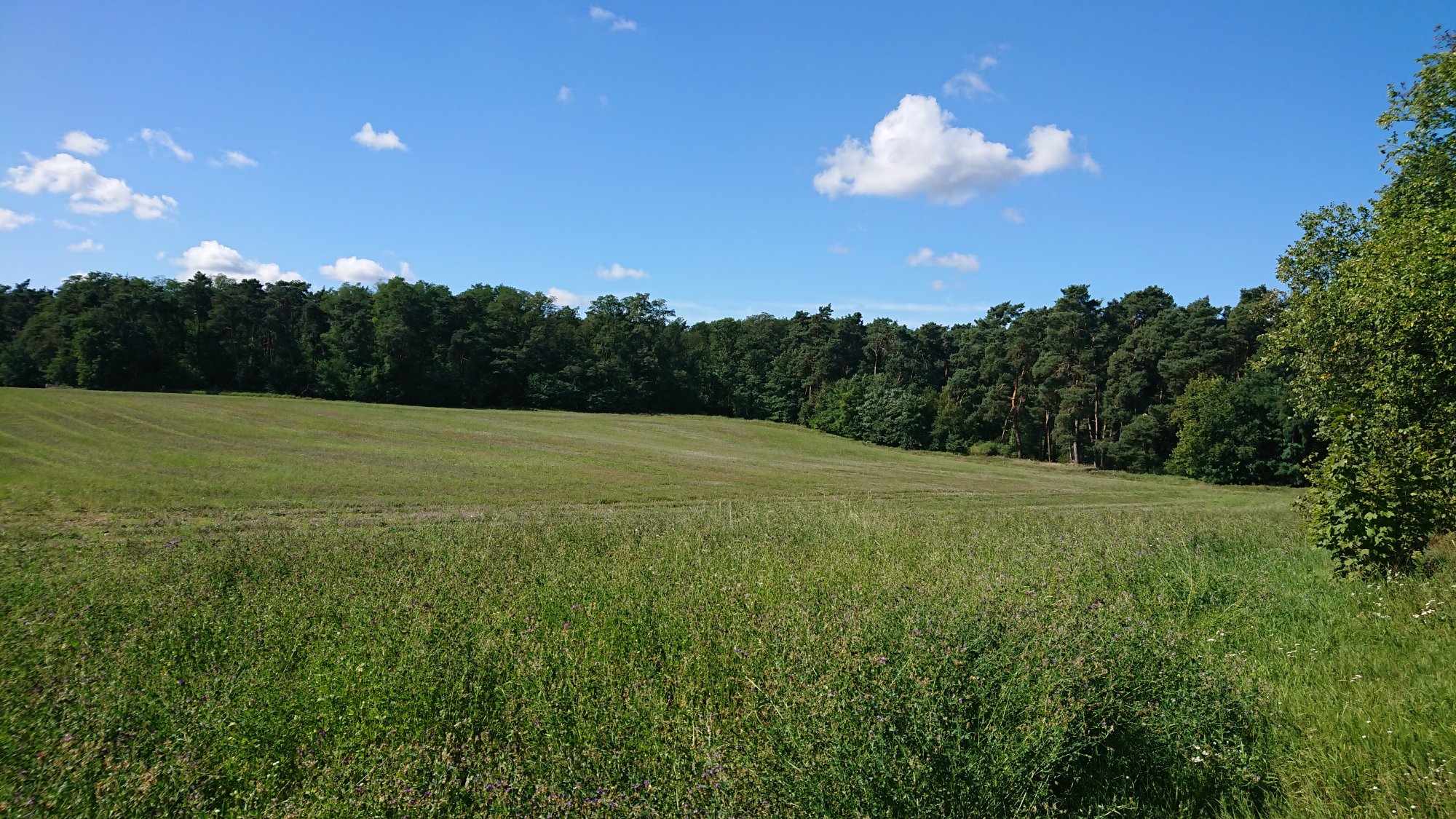 DSC_0565.JPG