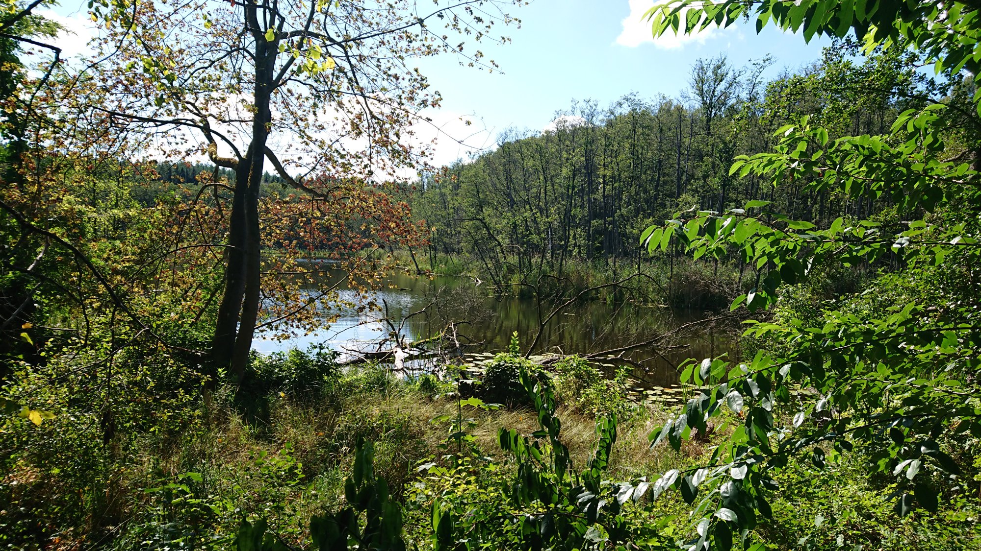 DSC_0568.JPG