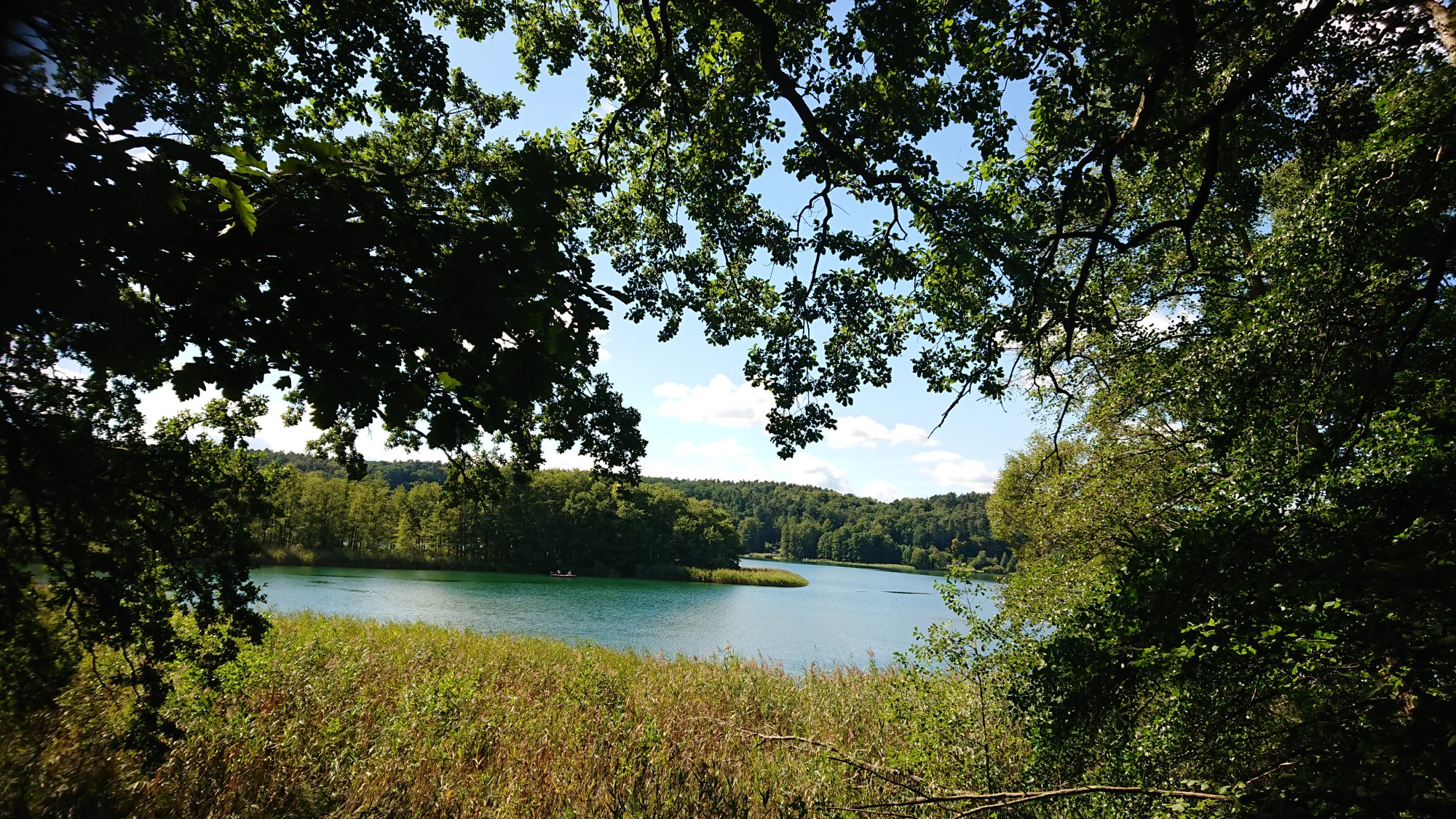 DSC_0570.JPG