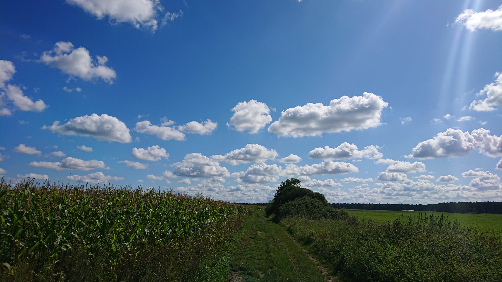 DSC_0572.JPG