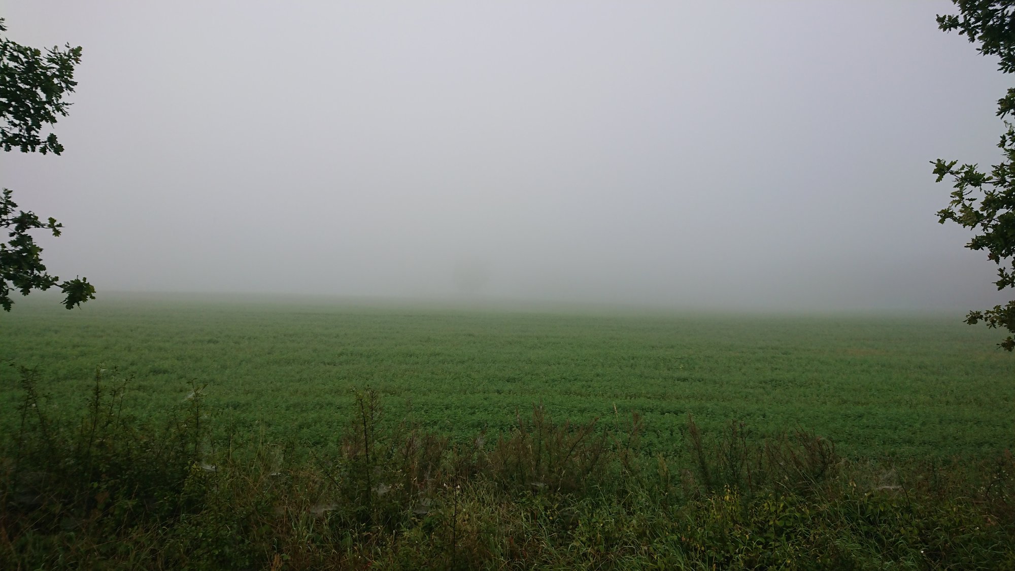 DSC_0575.JPG