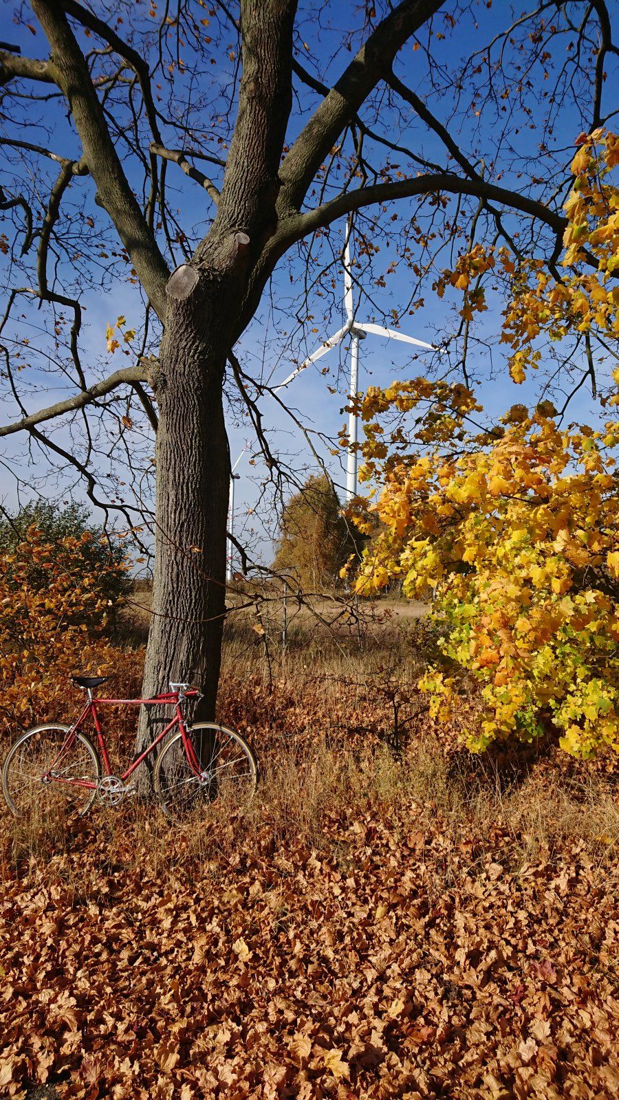 DSC_0576.JPG