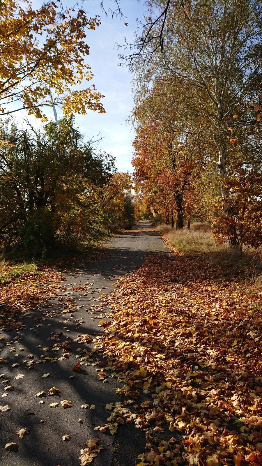 DSC_0577.JPG