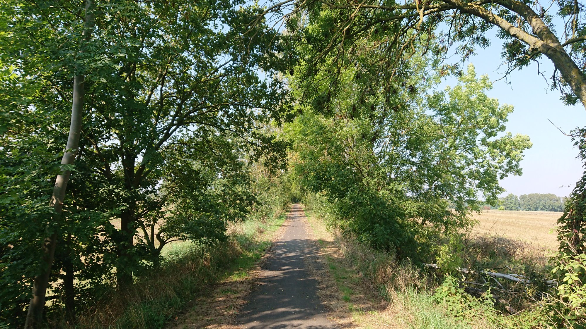 DSC_0580.JPG