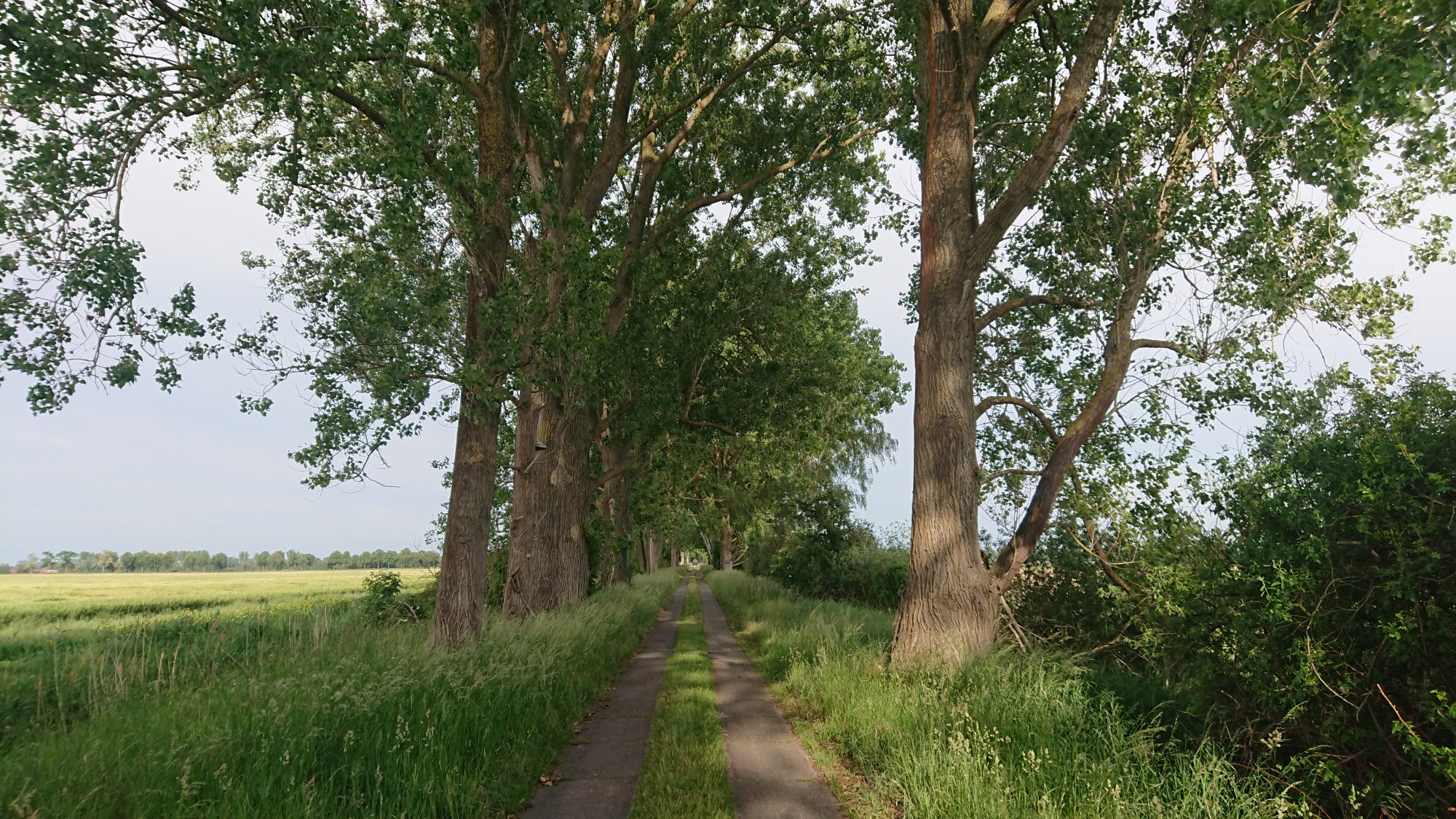 DSC_0582.JPG