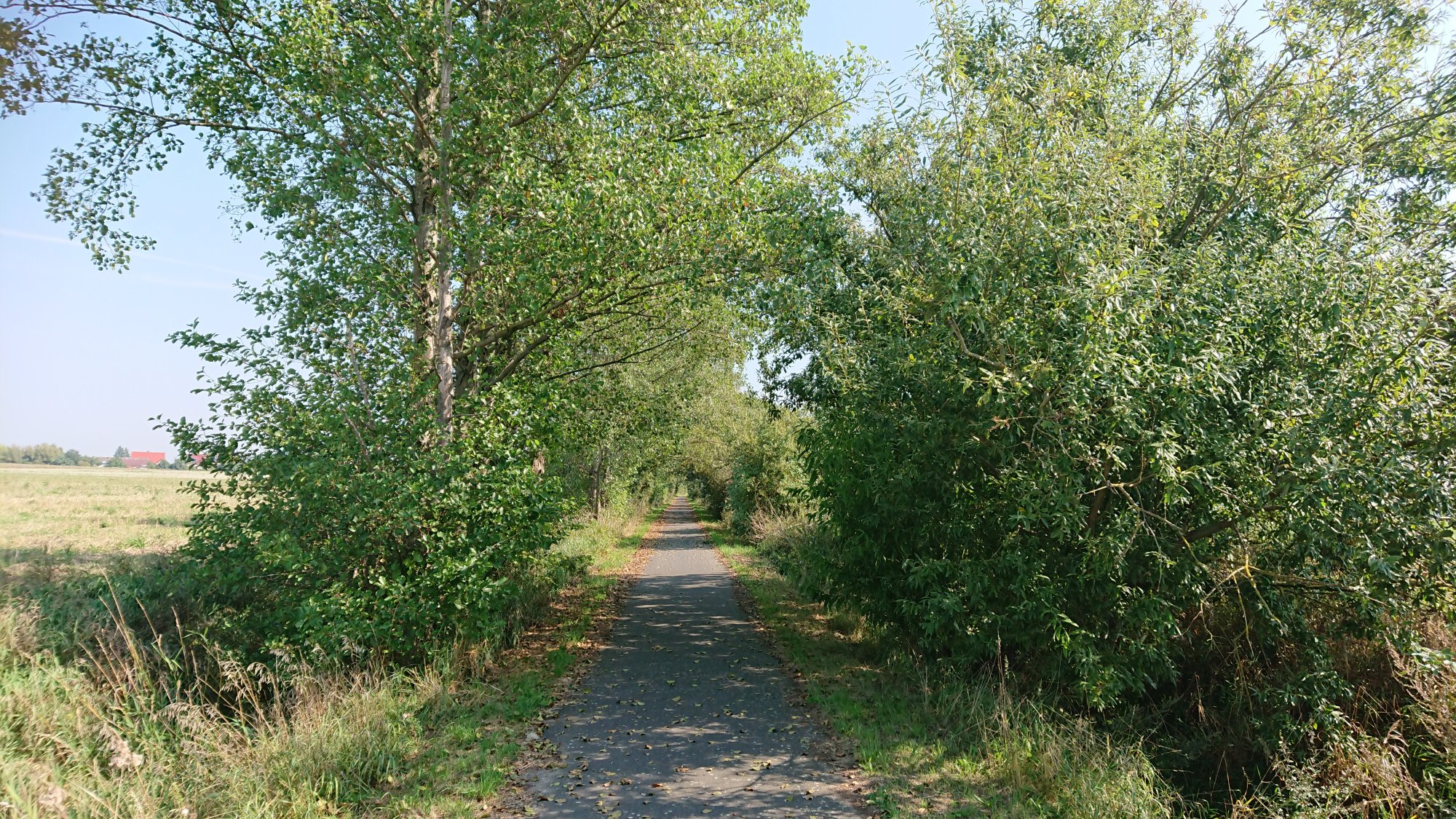 DSC_0585.JPG