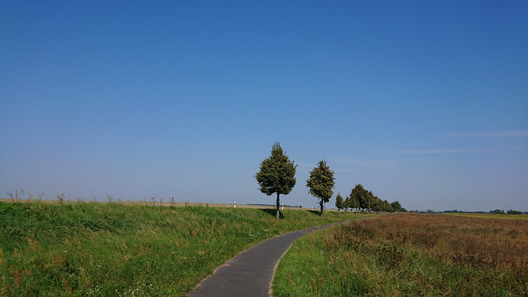 DSC_0586.JPG