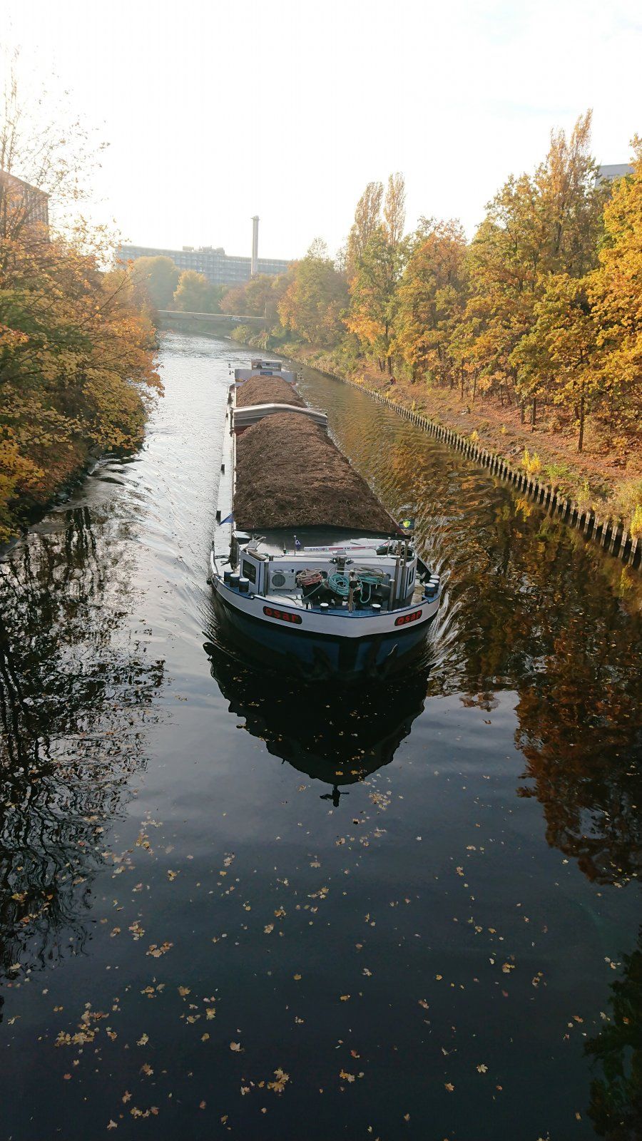 DSC_0588.JPG
