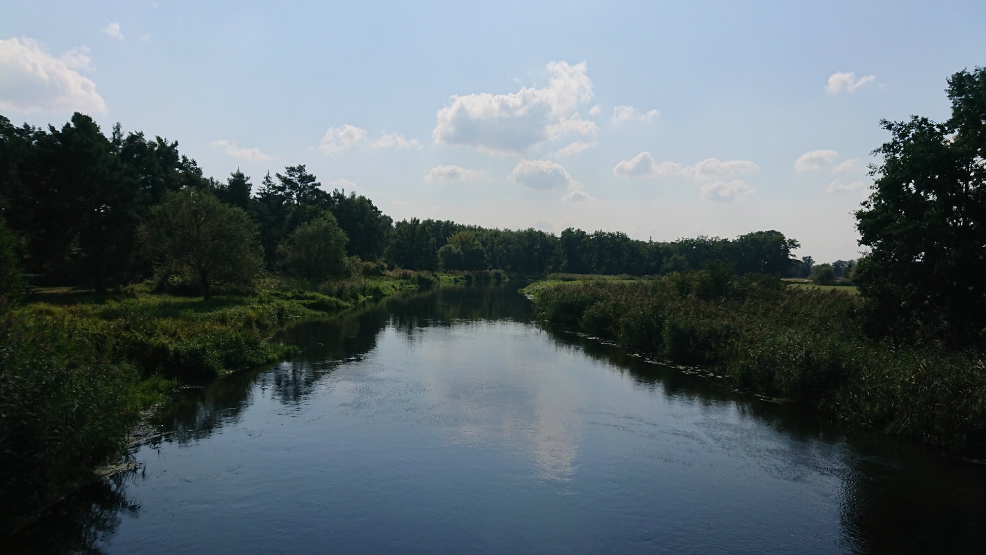 DSC_0589.JPG