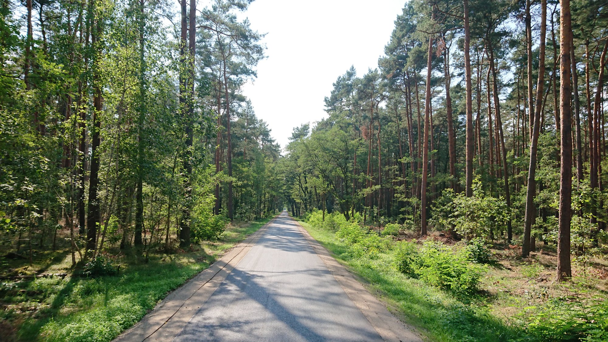 DSC_0590.JPG