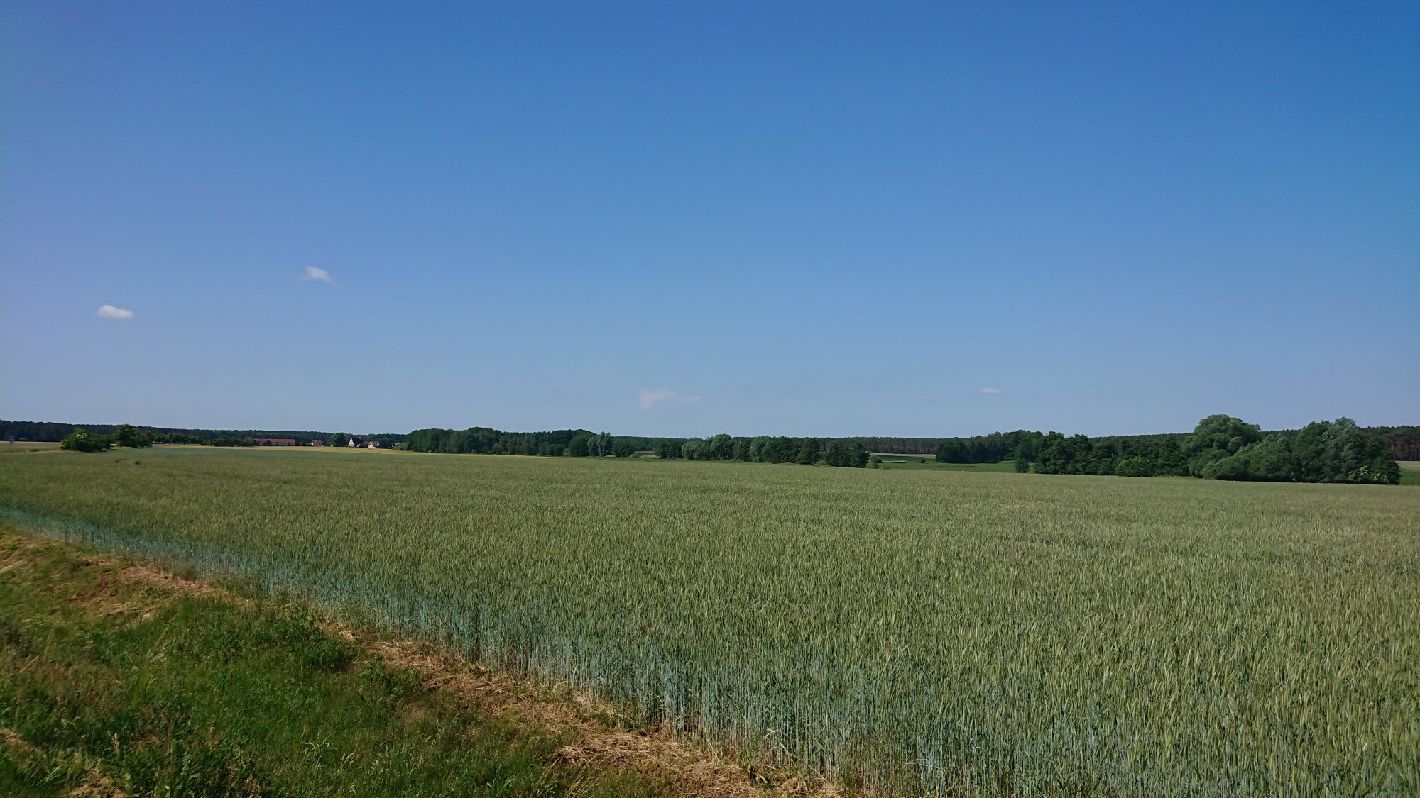 DSC_0601.JPG