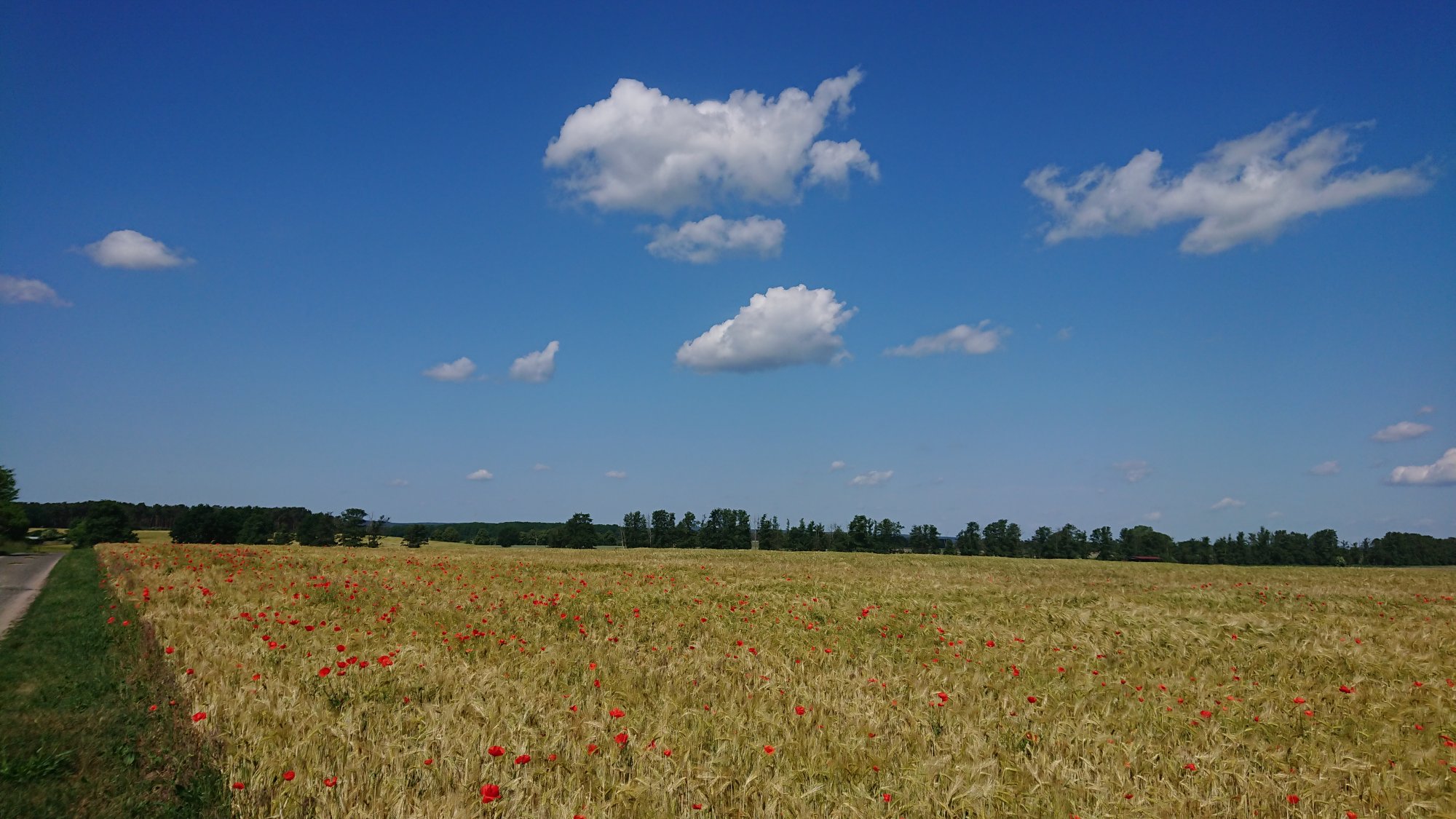 DSC_0606.JPG