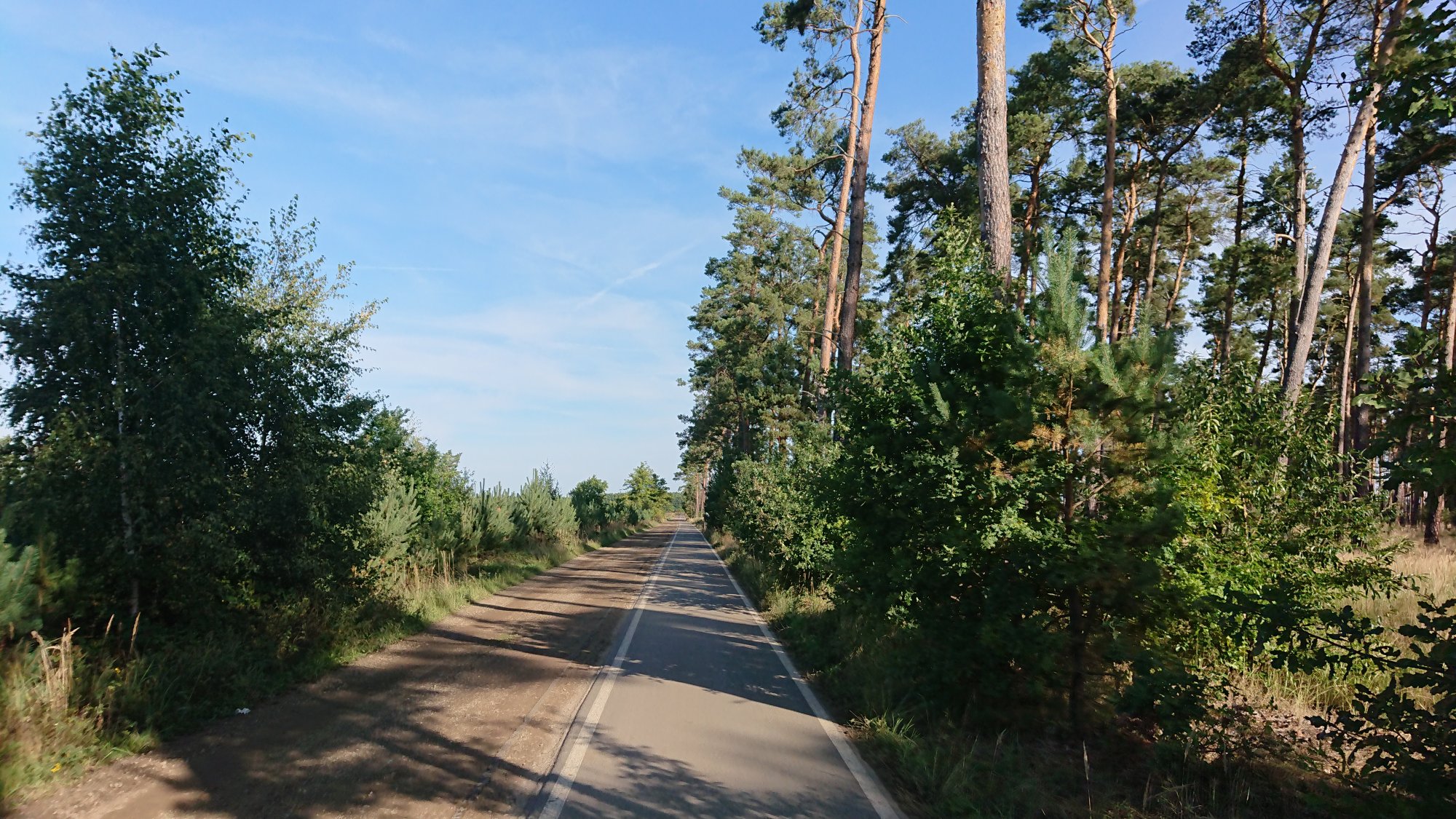 DSC_0617.JPG