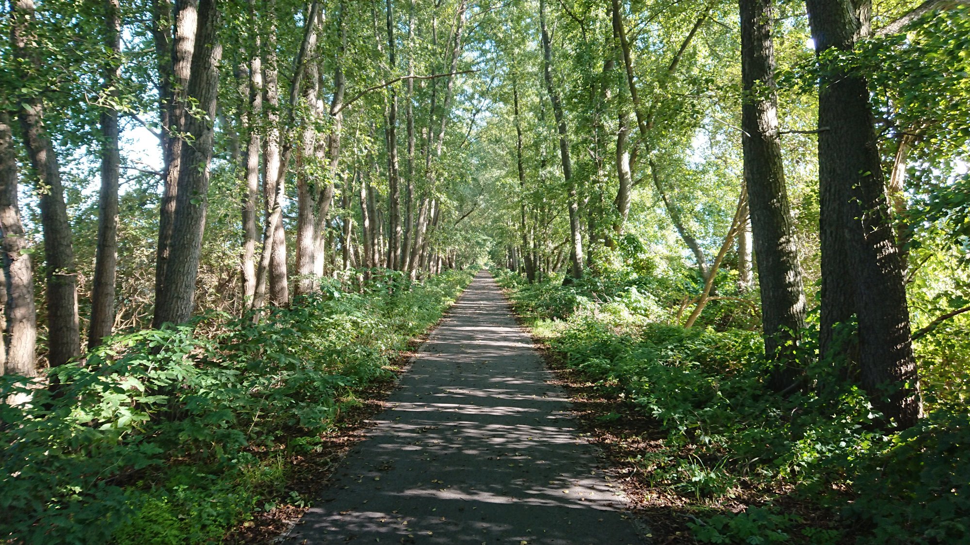 DSC_0620.JPG