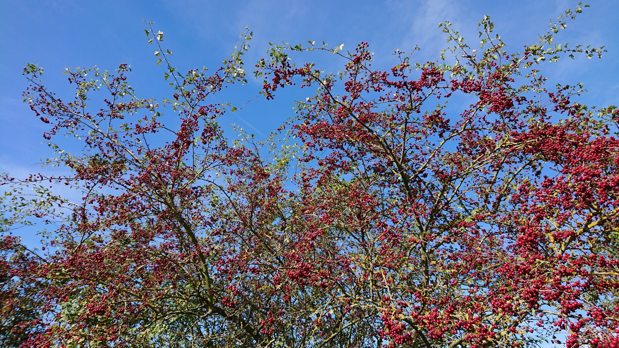 DSC_0623.JPG
