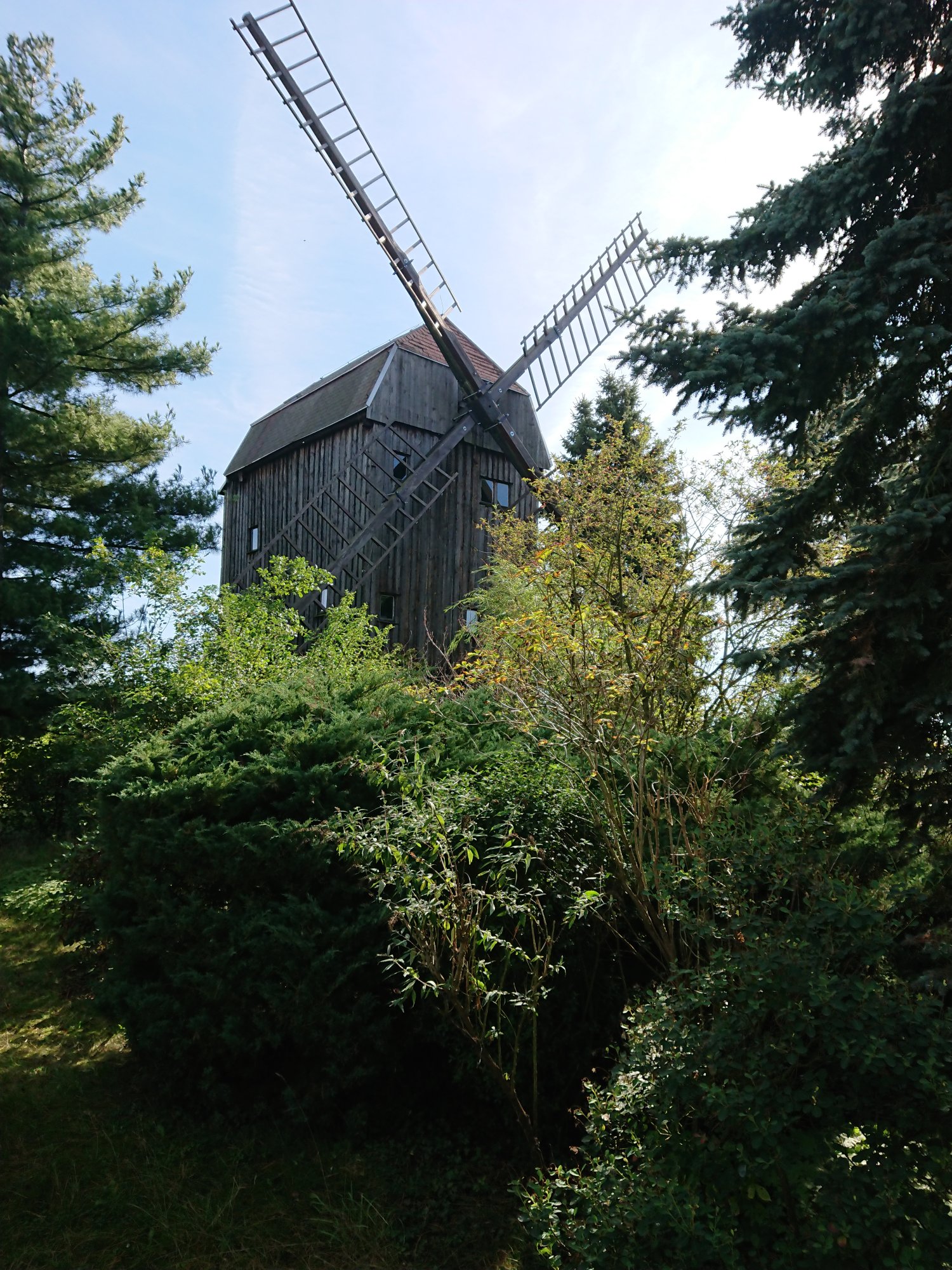 DSC_0629.JPG