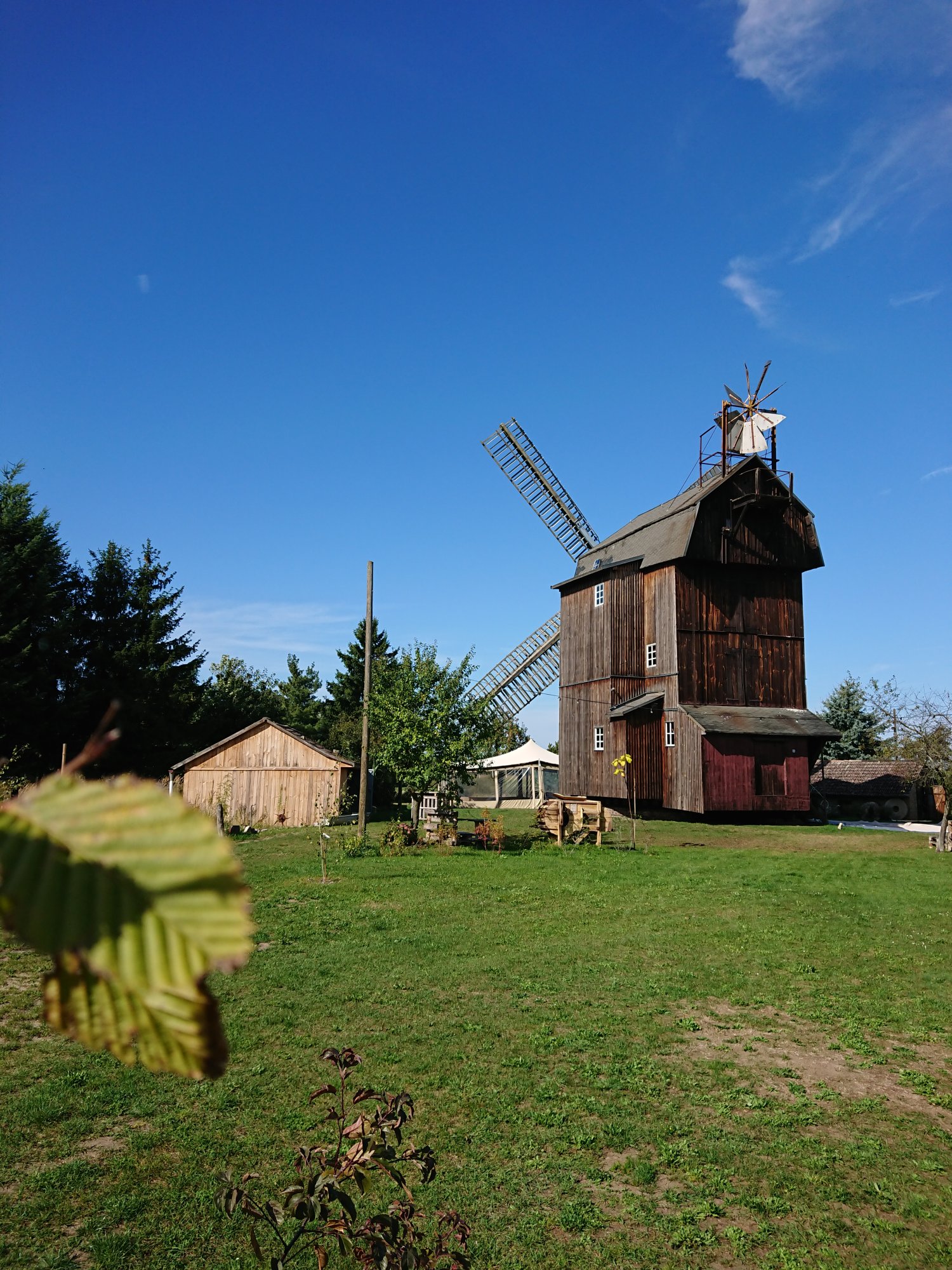 DSC_0635.JPG